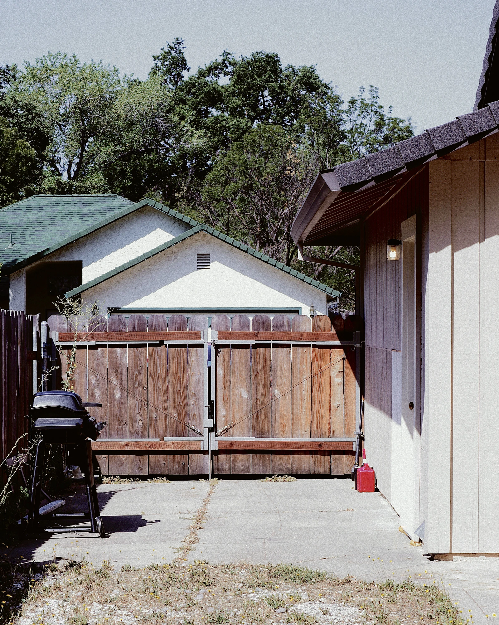 A residential backyard with a wooden gate and a house framed by mature trees