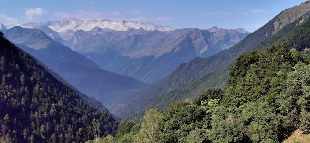 a landscape with trees and mountains in the back