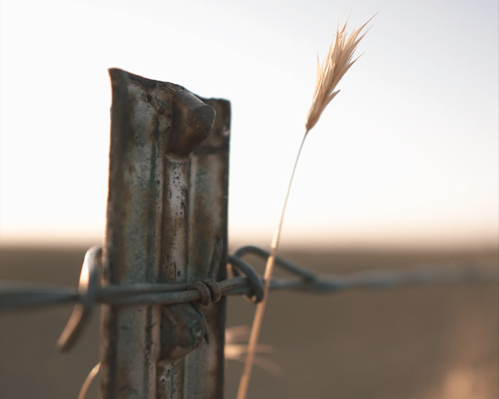 a close-up of a metal rod with a stick