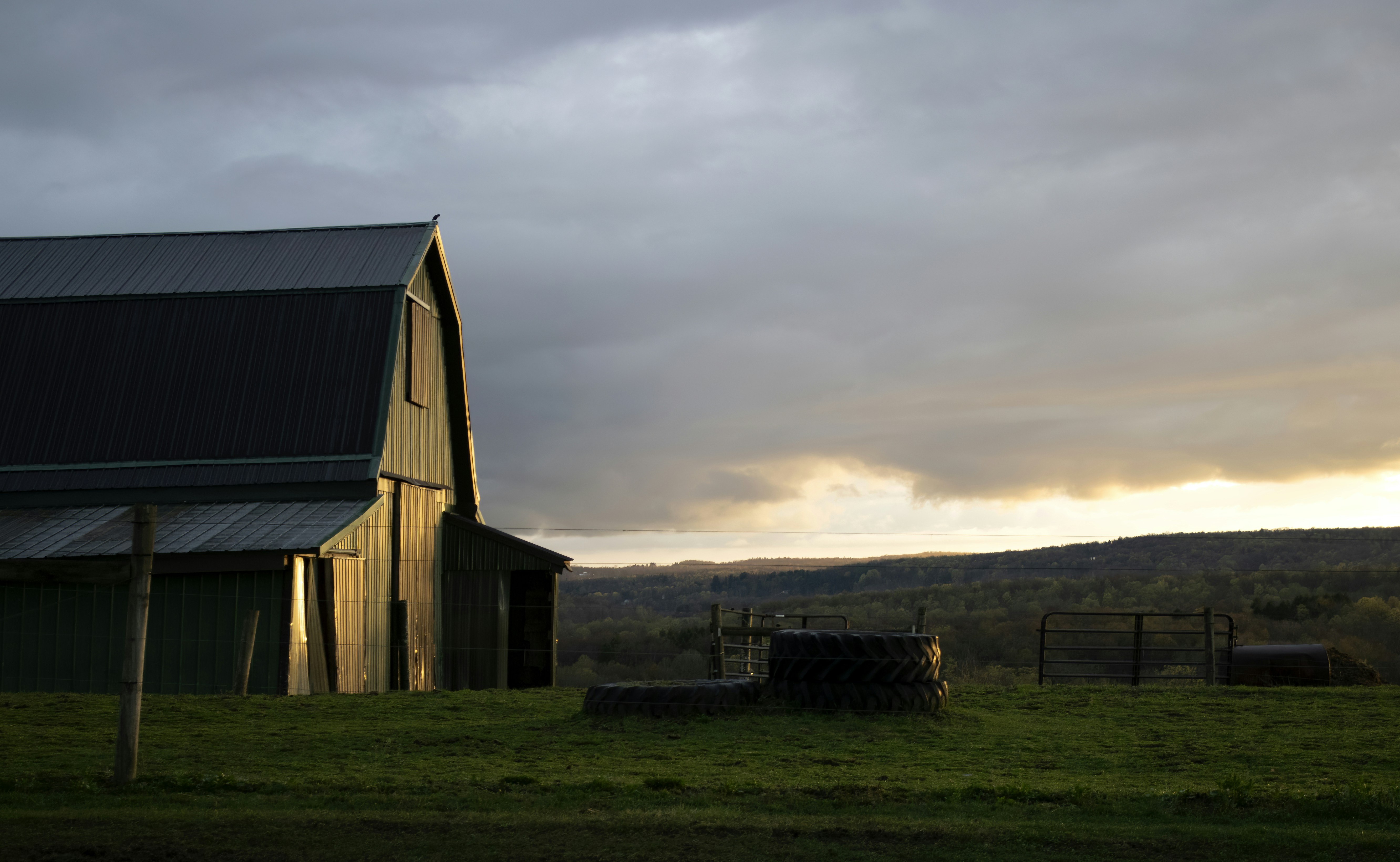 Photo by carlbrandphotography