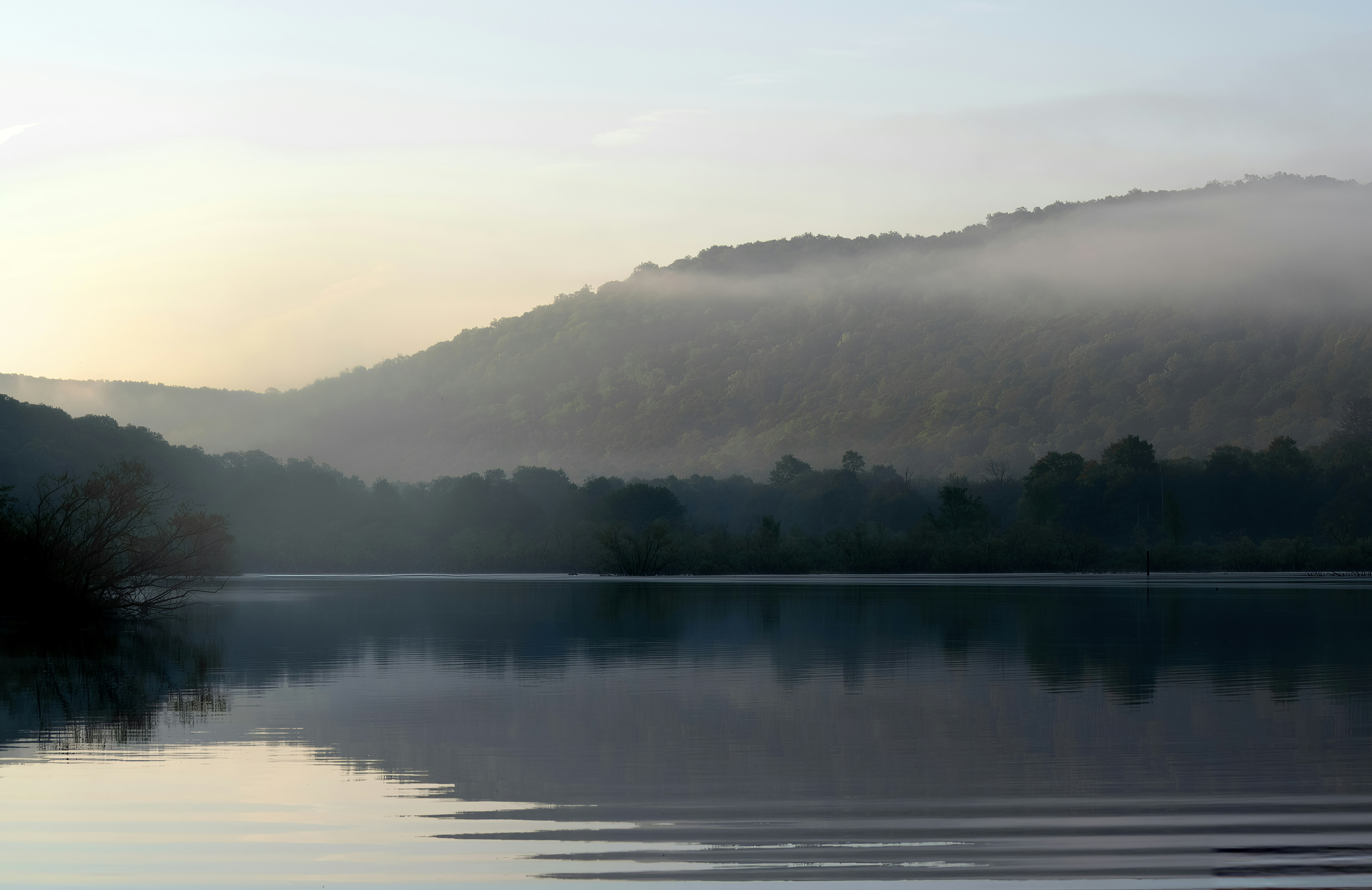 Photo by carlbrandphotography