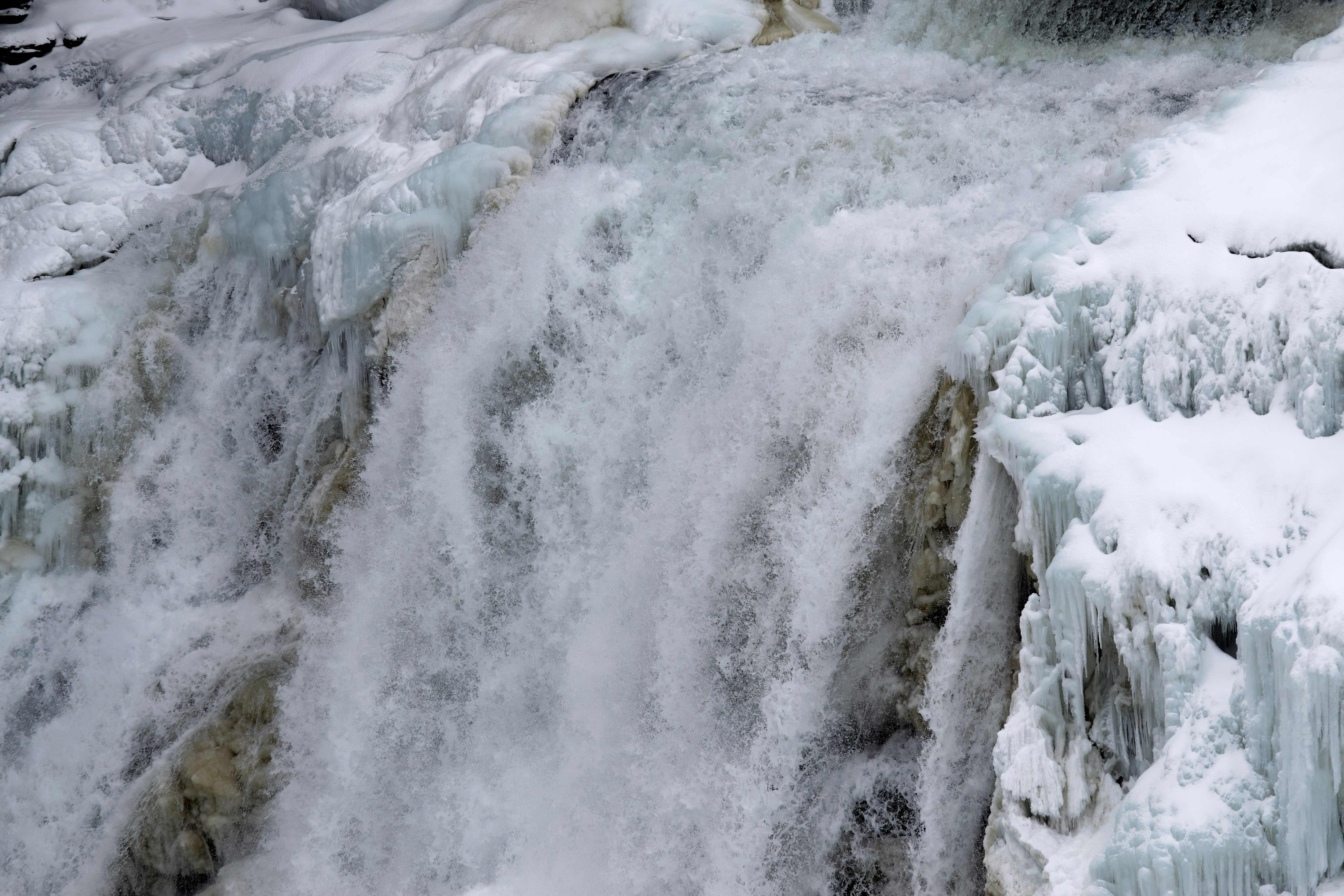 Photo by carlbrandphotography