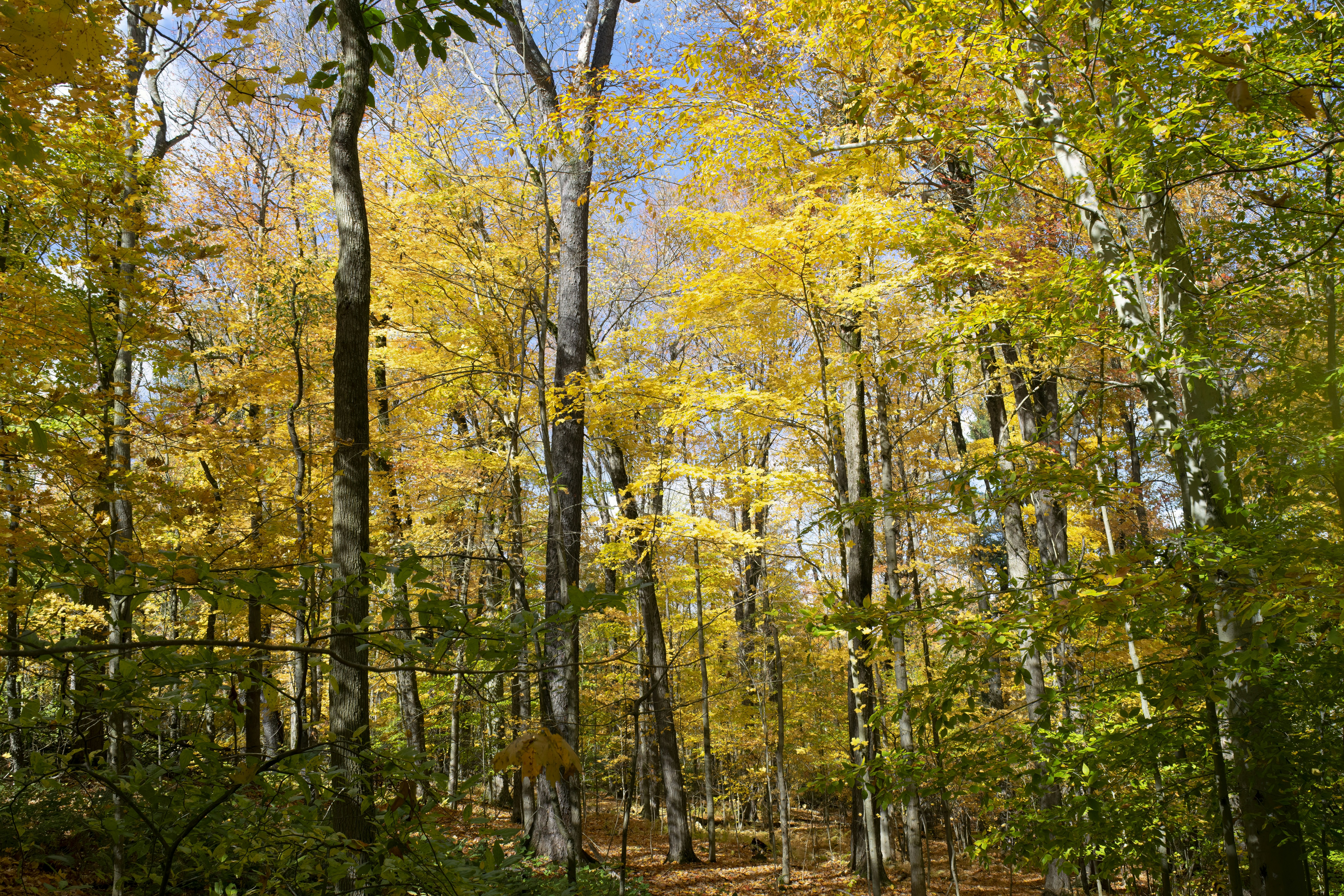 Photo by carlbrandphotography