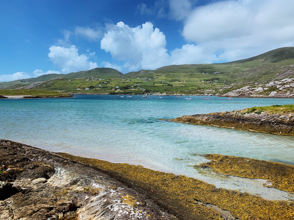 Una playa con rocas y agua