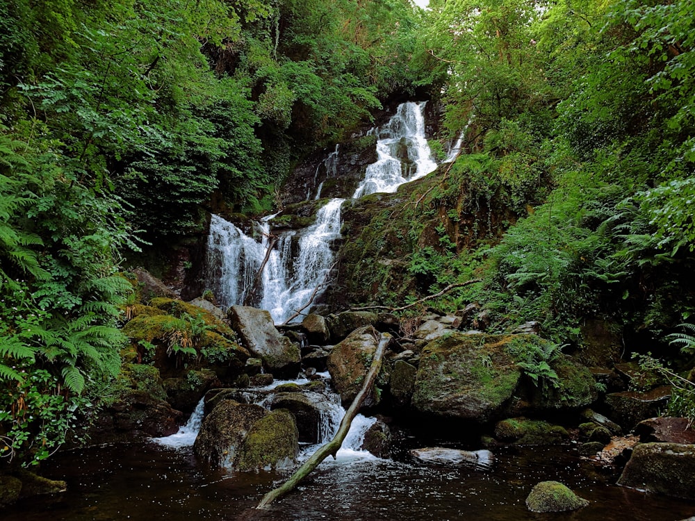 a waterfall in a forest