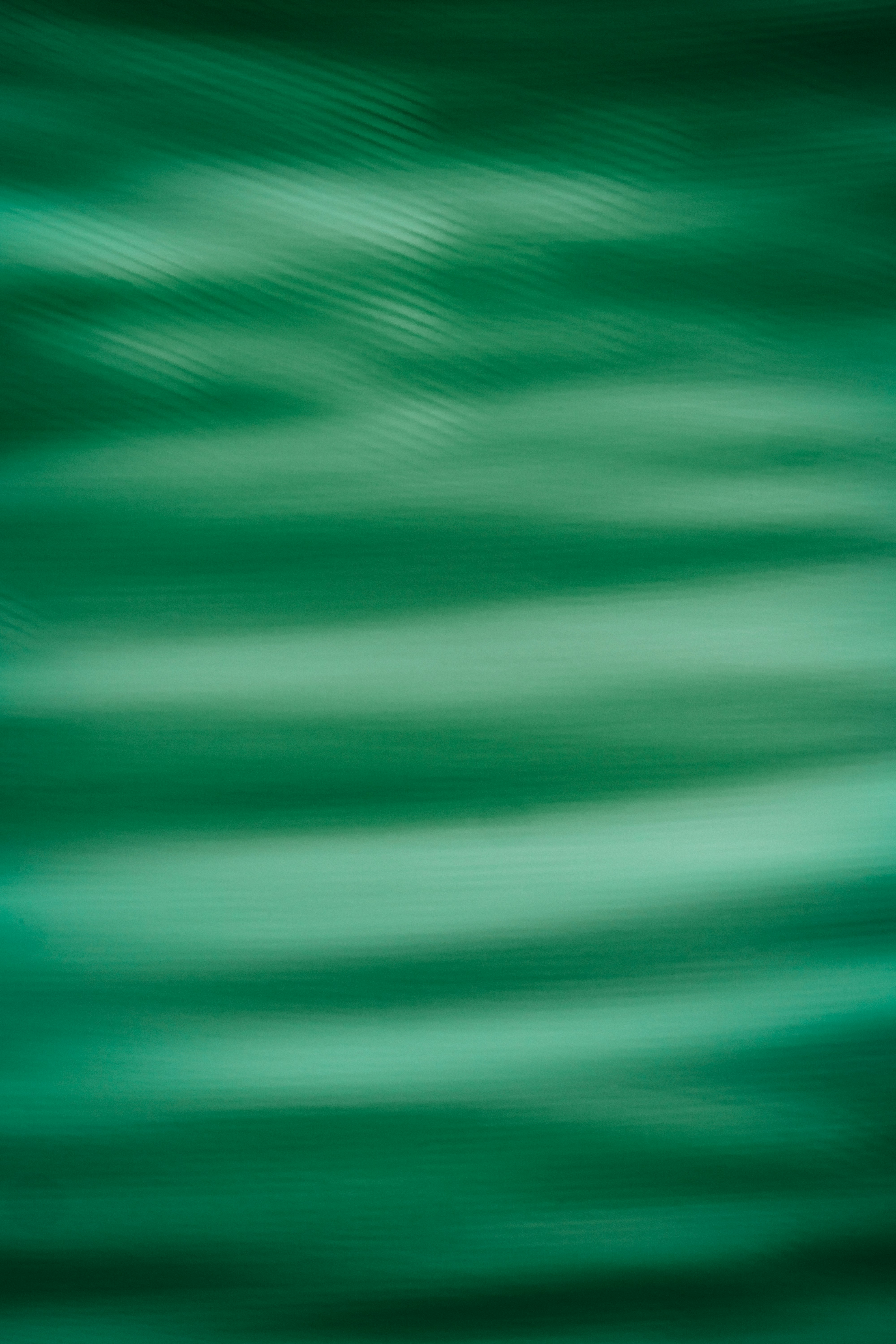 Photo by maksym_tymchyk