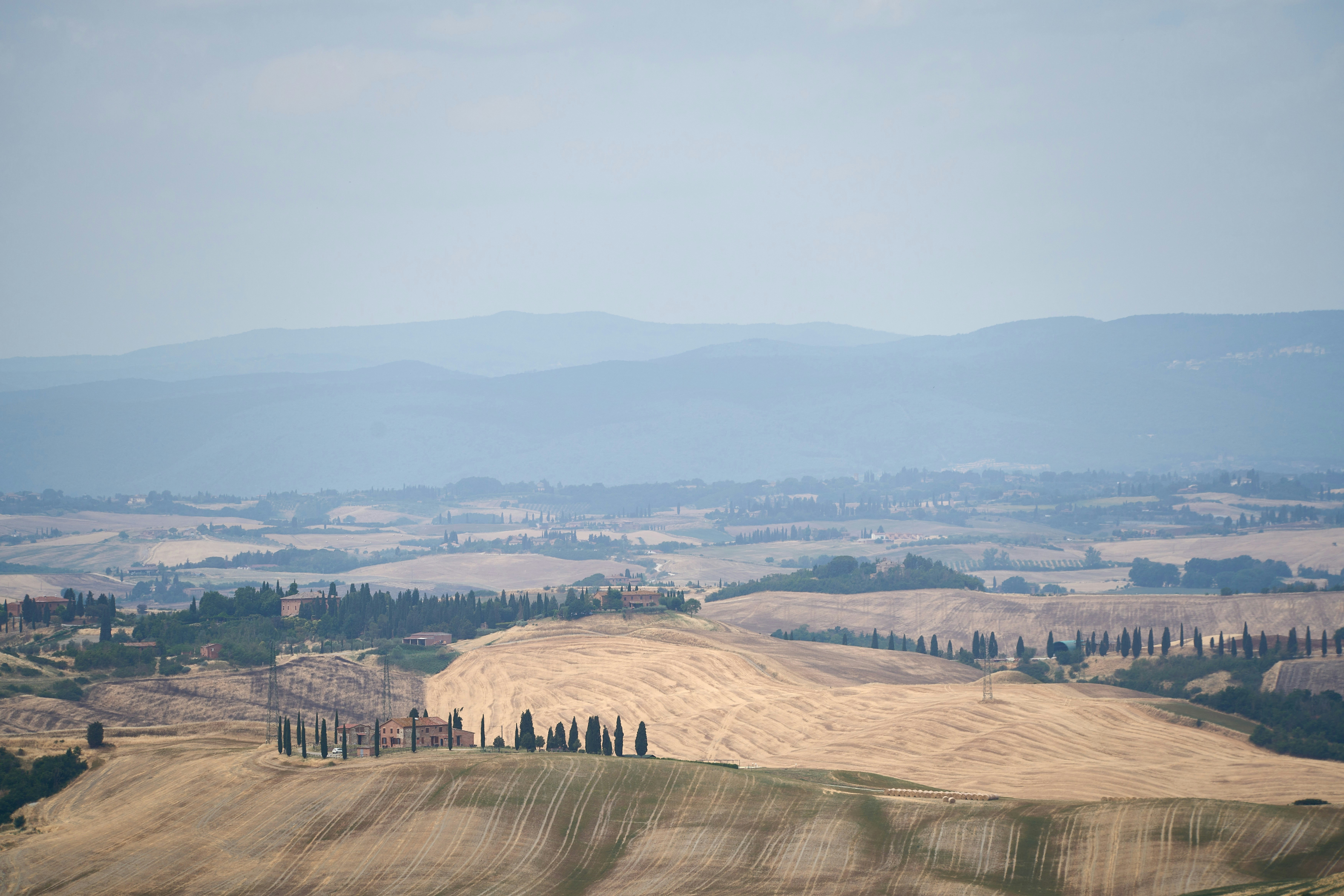 Photo by wolfgang_hasselmann