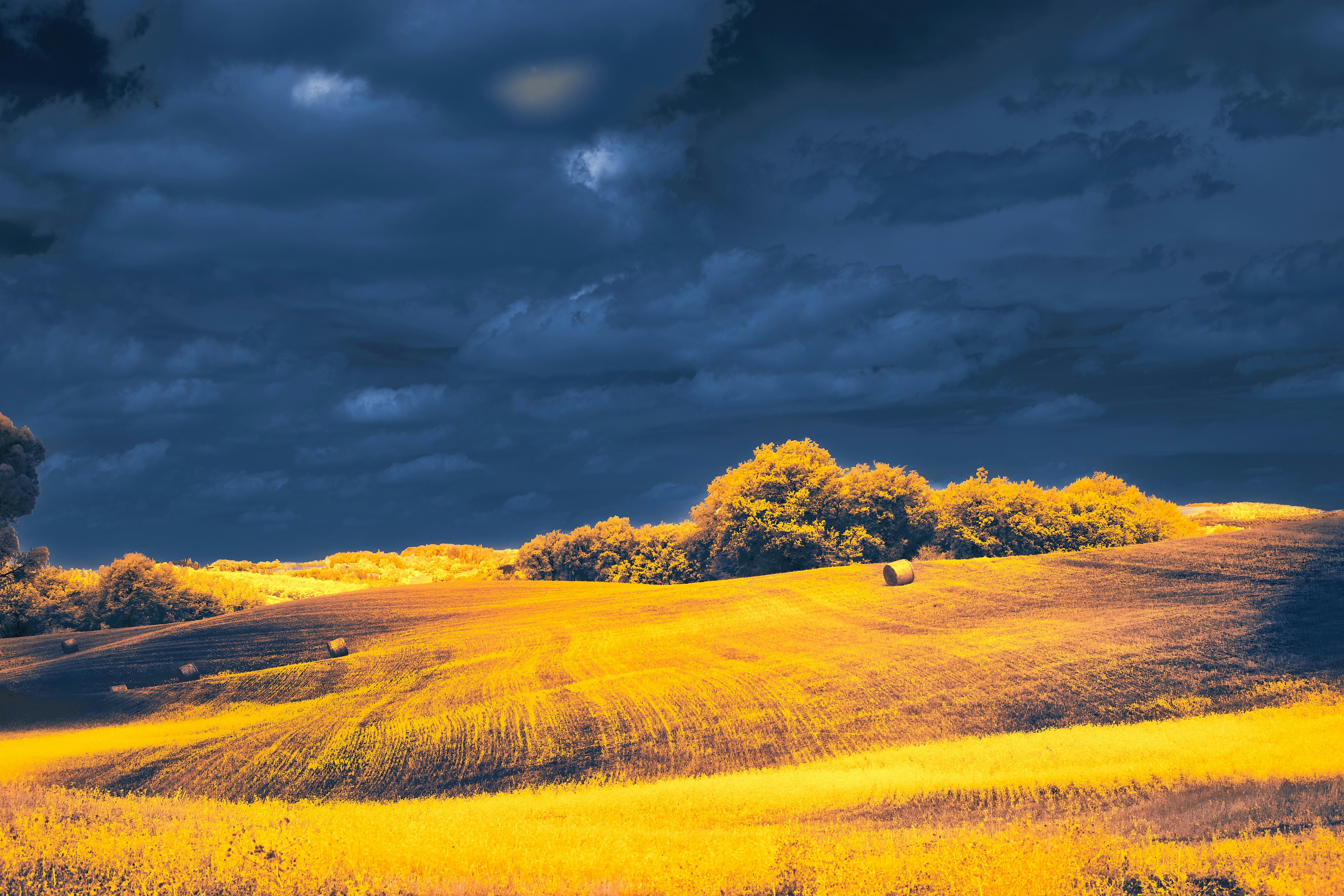 Photo by wolfgang_hasselmann