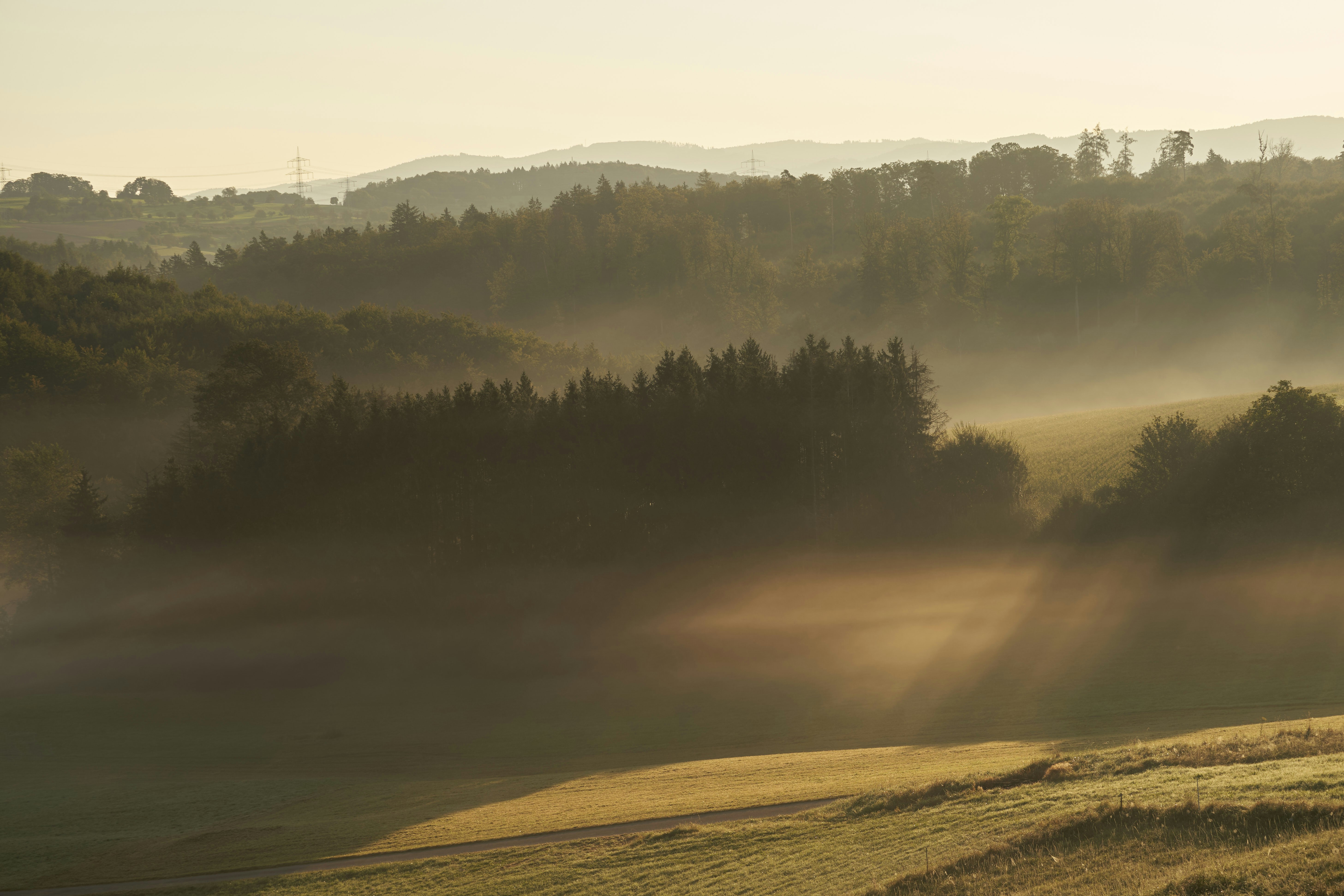 Photo by wolfgang_hasselmann