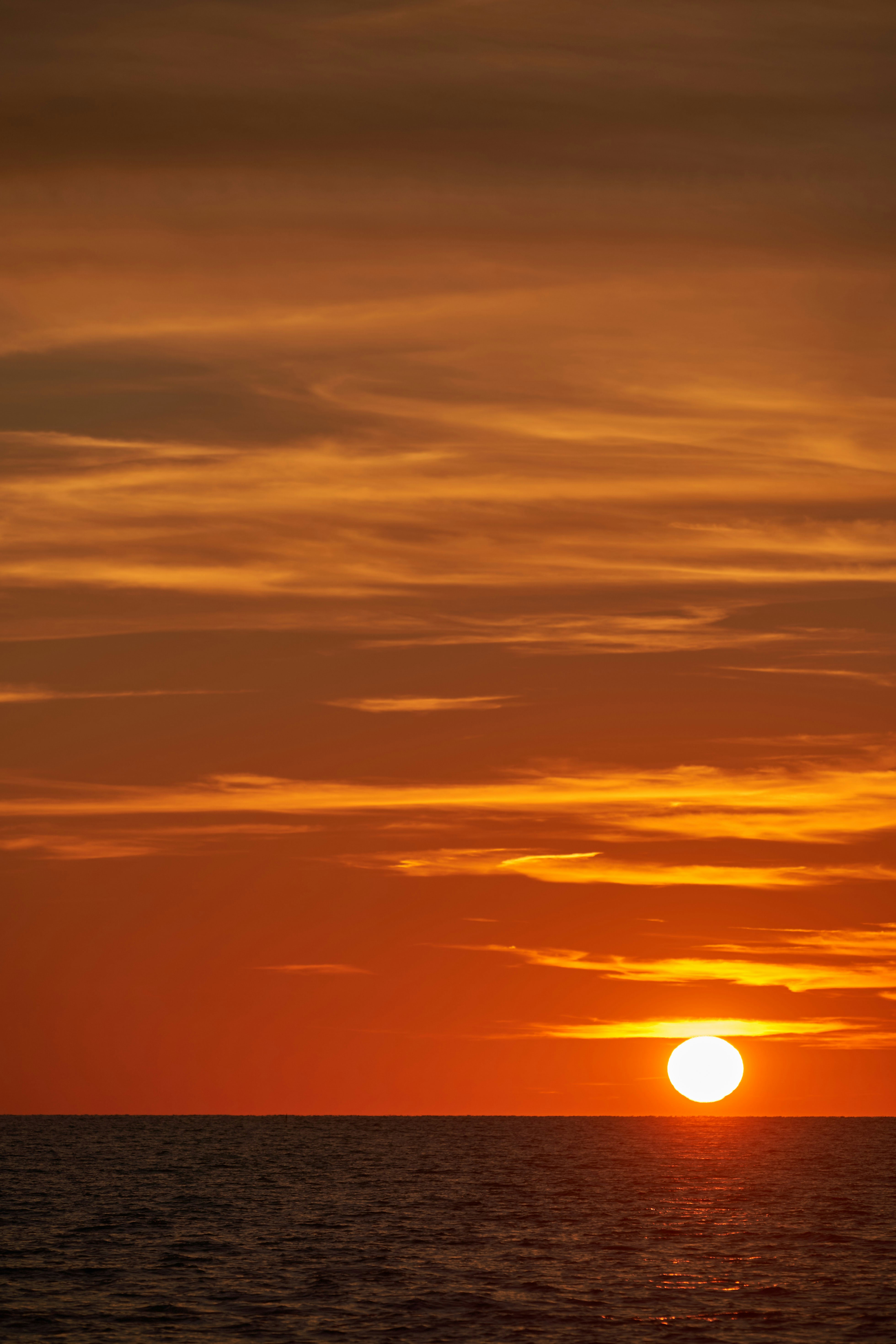 Photo by wolfgang_hasselmann