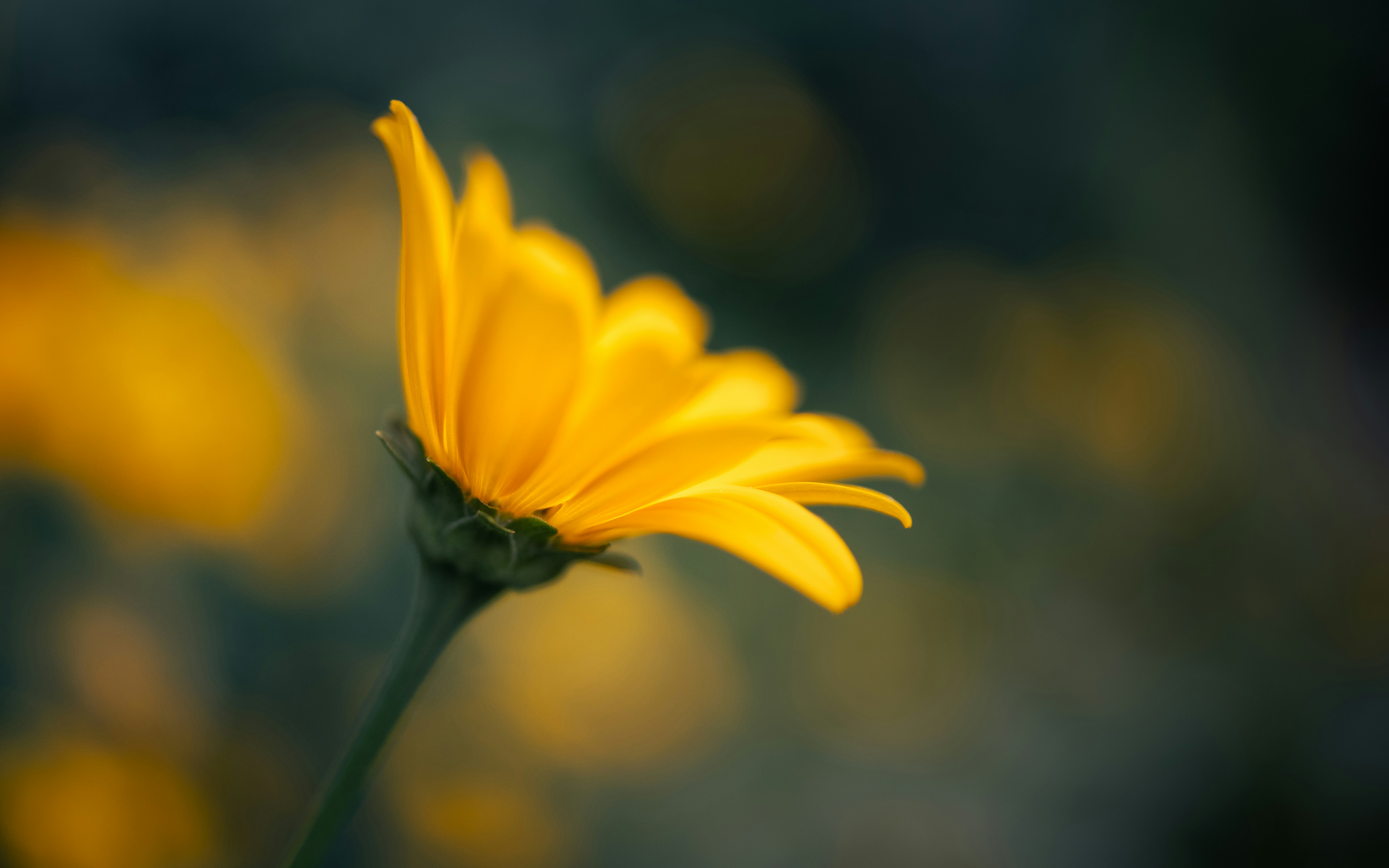 Photo by marekpiwnicki