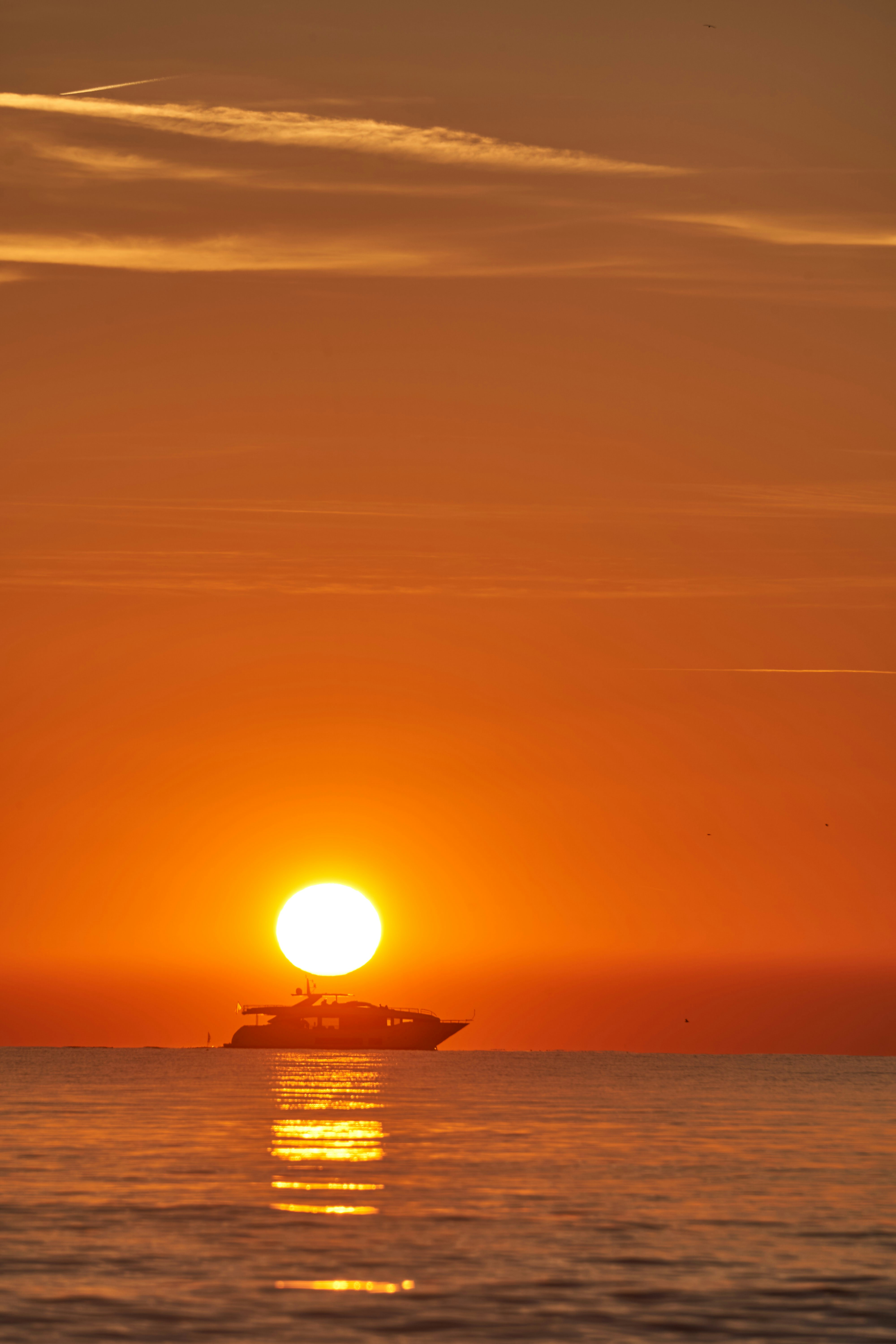 Photo by wolfgang_hasselmann