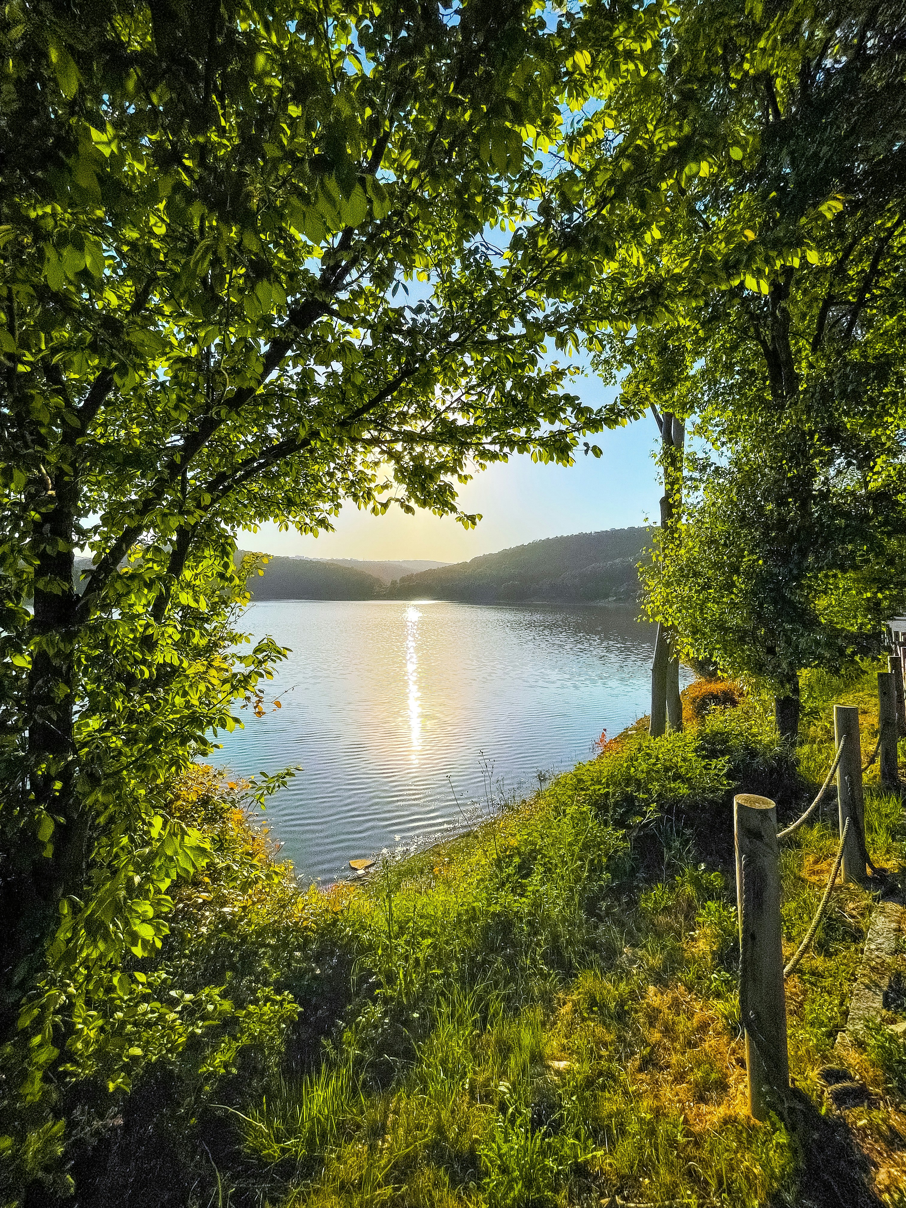 a body of water with trees around it