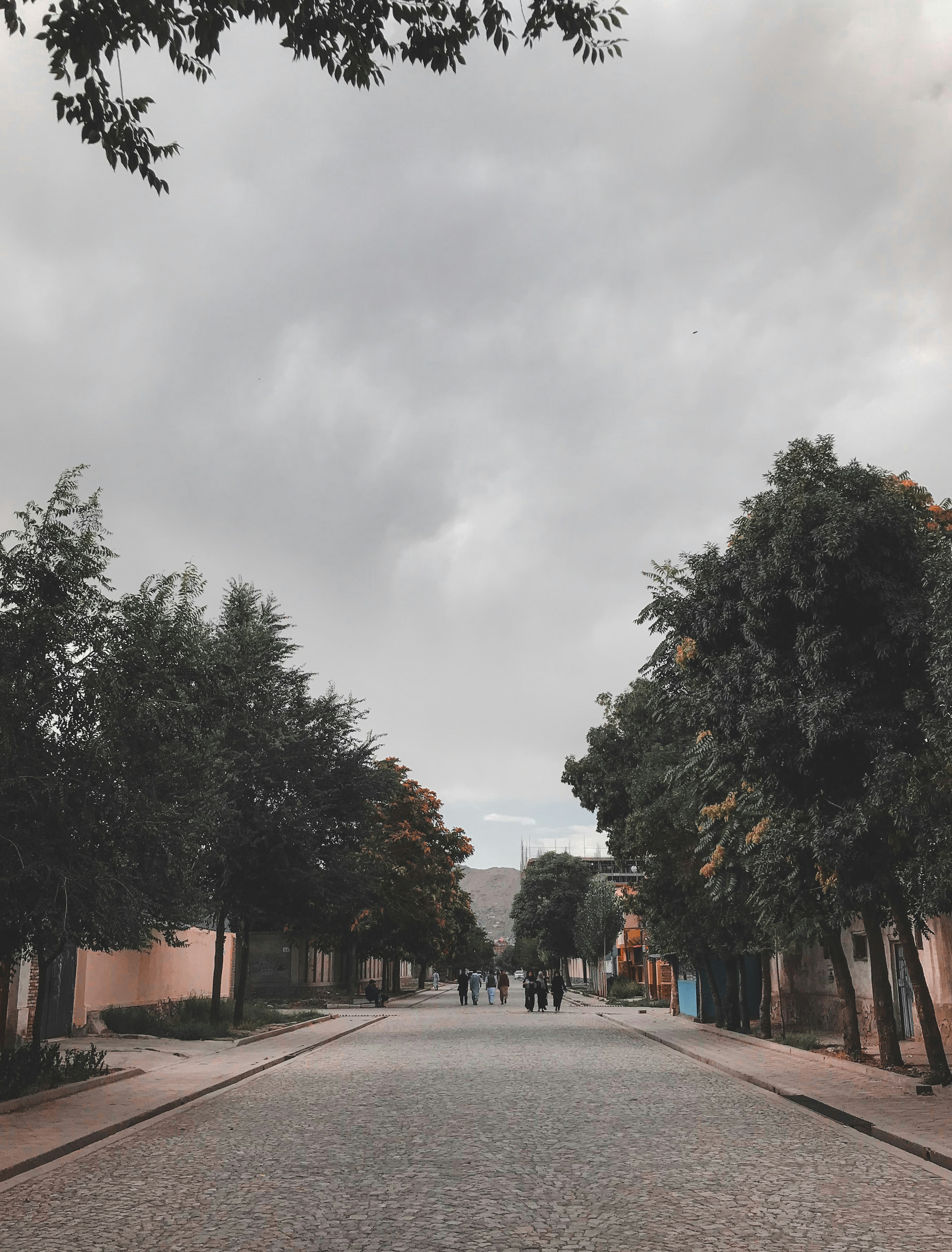 Photo by qasimmirzaie