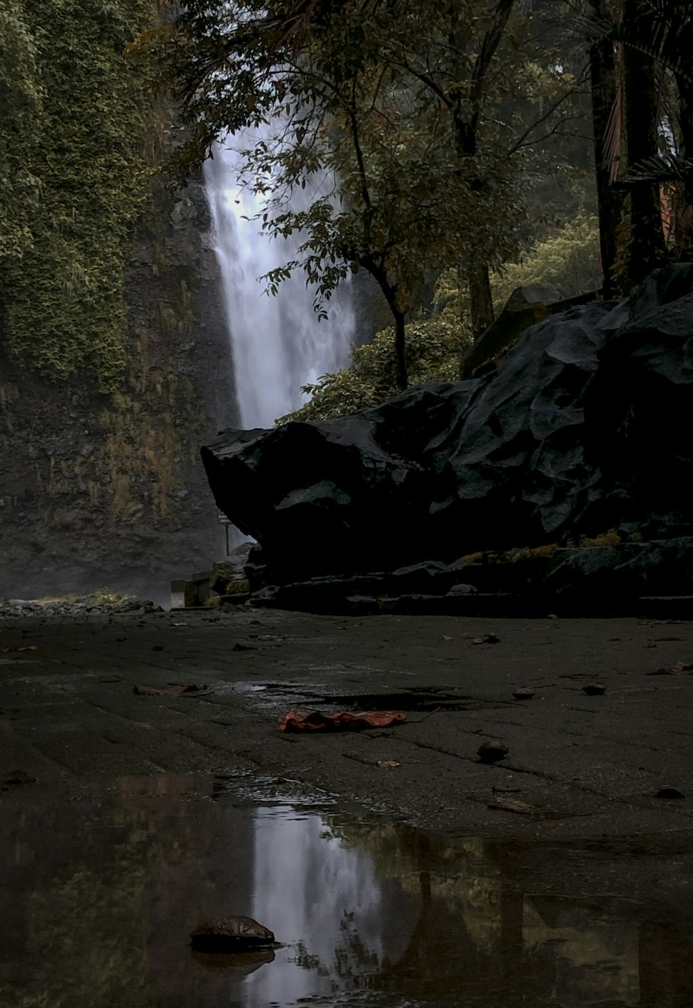 Une cascade avec des arbres et des rochers