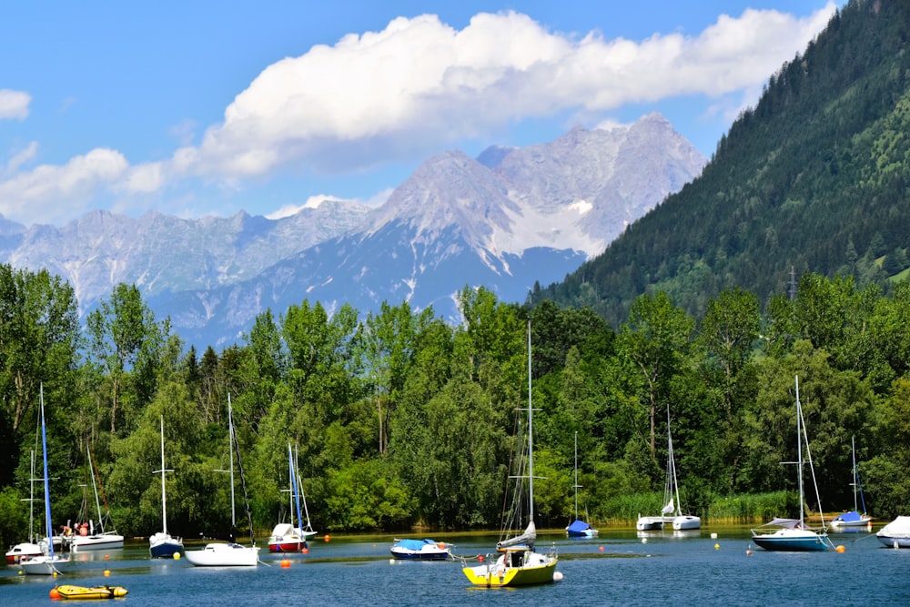 a group of boats sit in a harbor