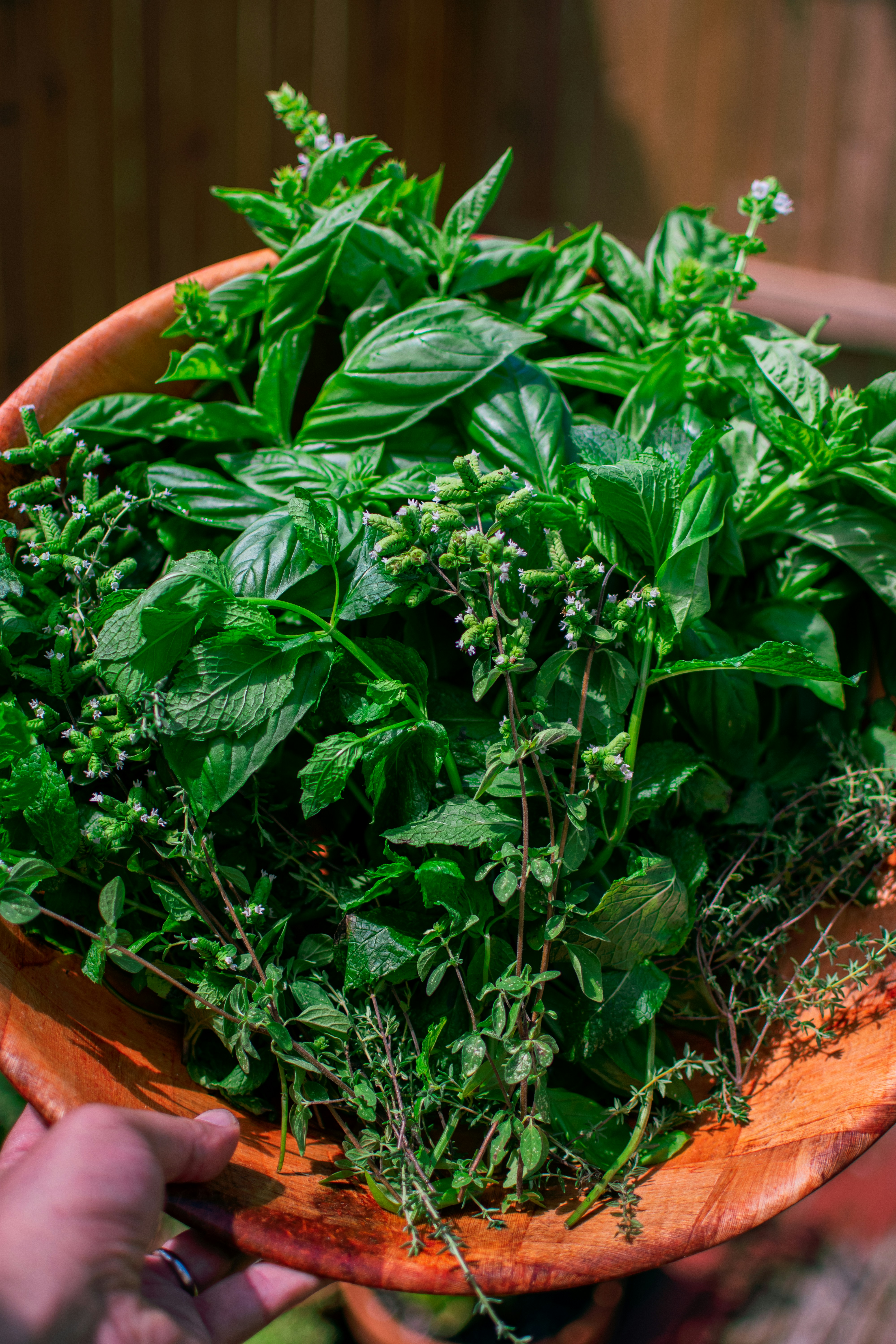 How Do I Grow Potatoes In A Container?