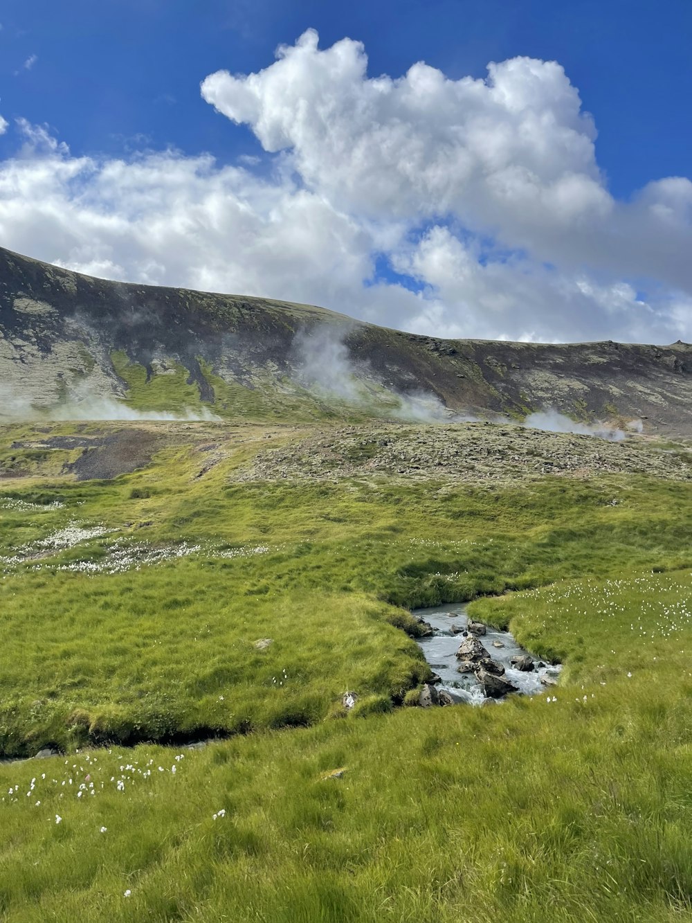 a grassy field with a stream running through it