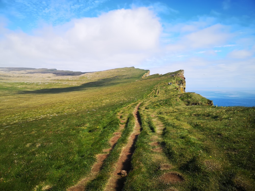 a grassy hill with a body of water in the background