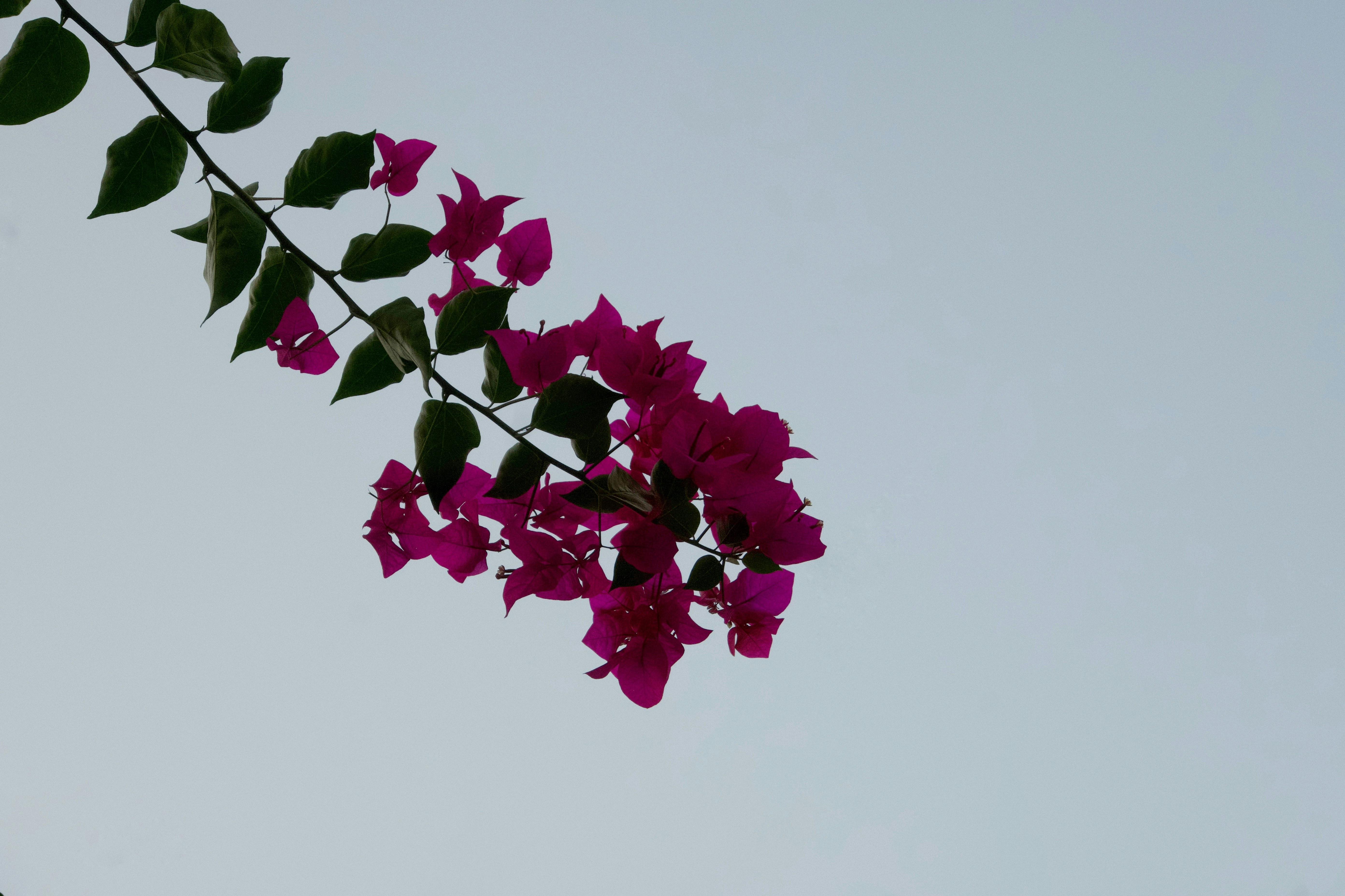 Photo by shurupats