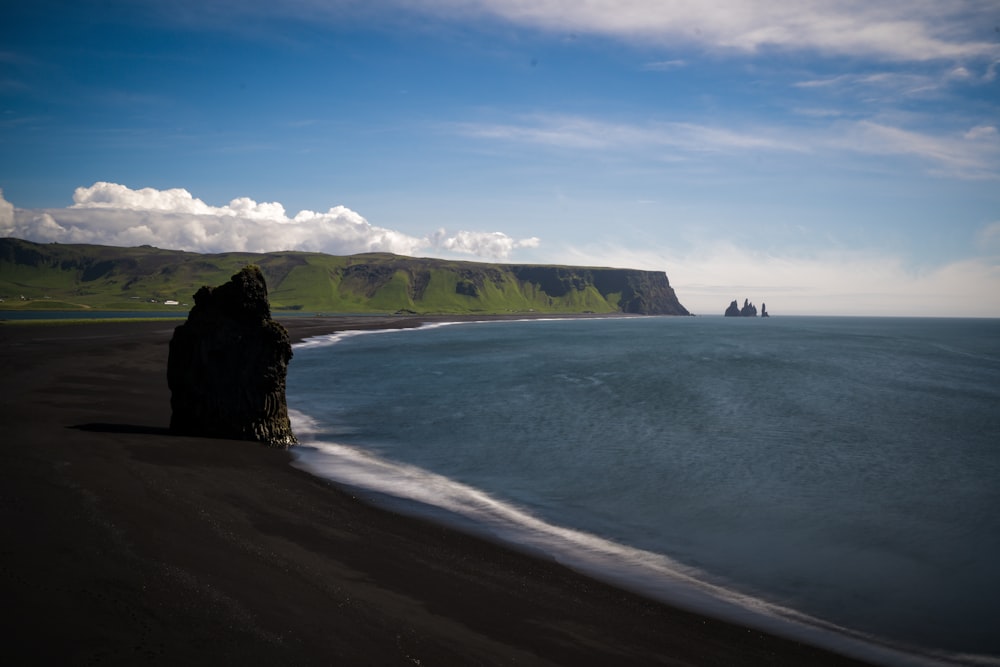 a dog sitting on a beach