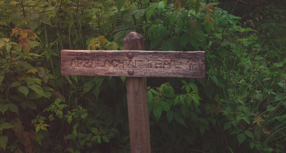 a wooden cross in a forest