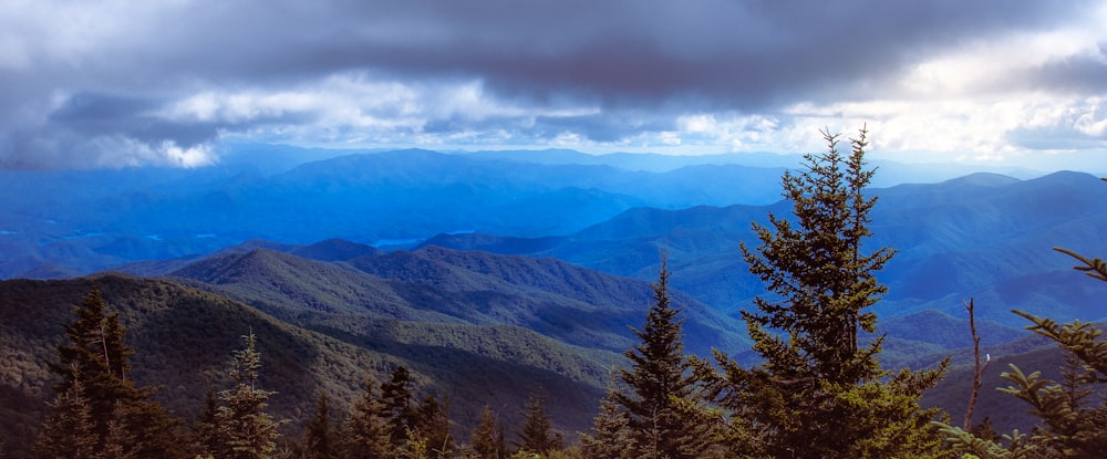 a landscape with trees and mountains in the back