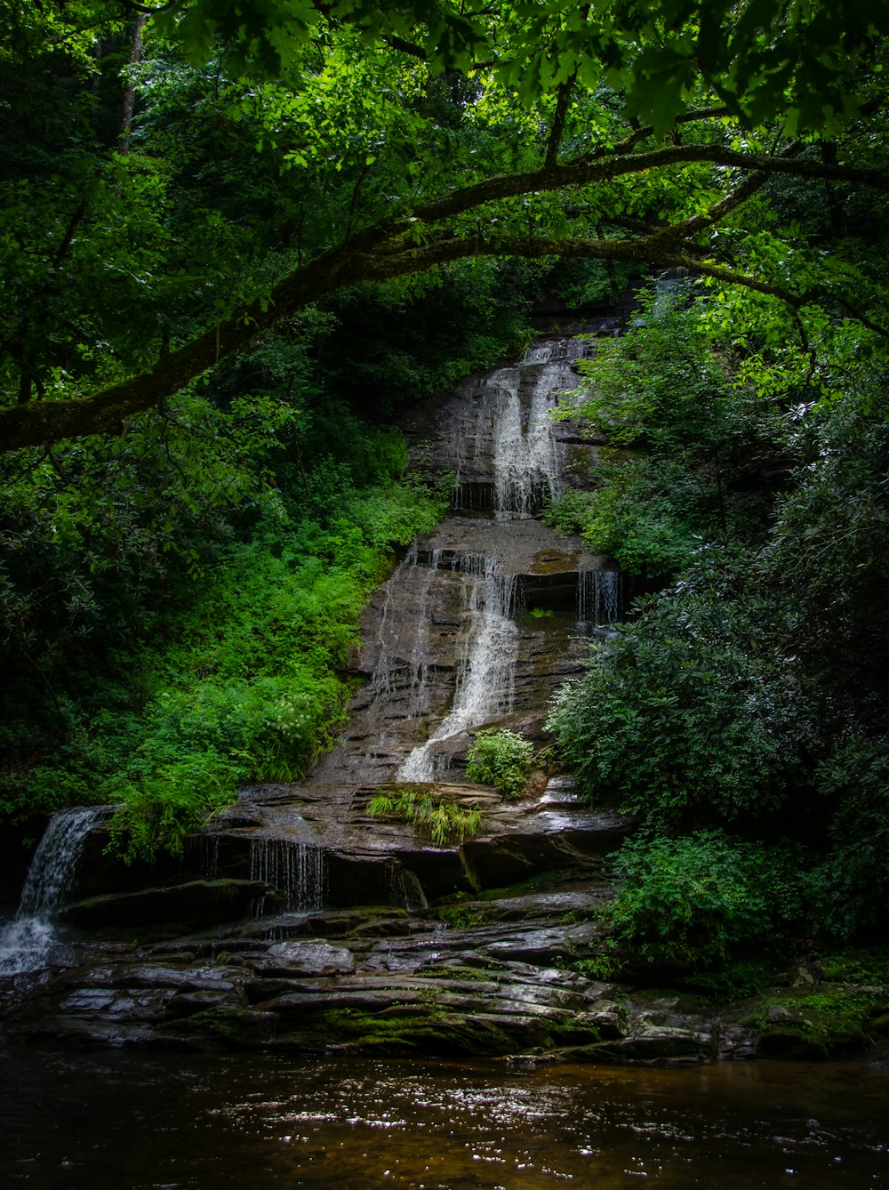 a waterfall in a forest