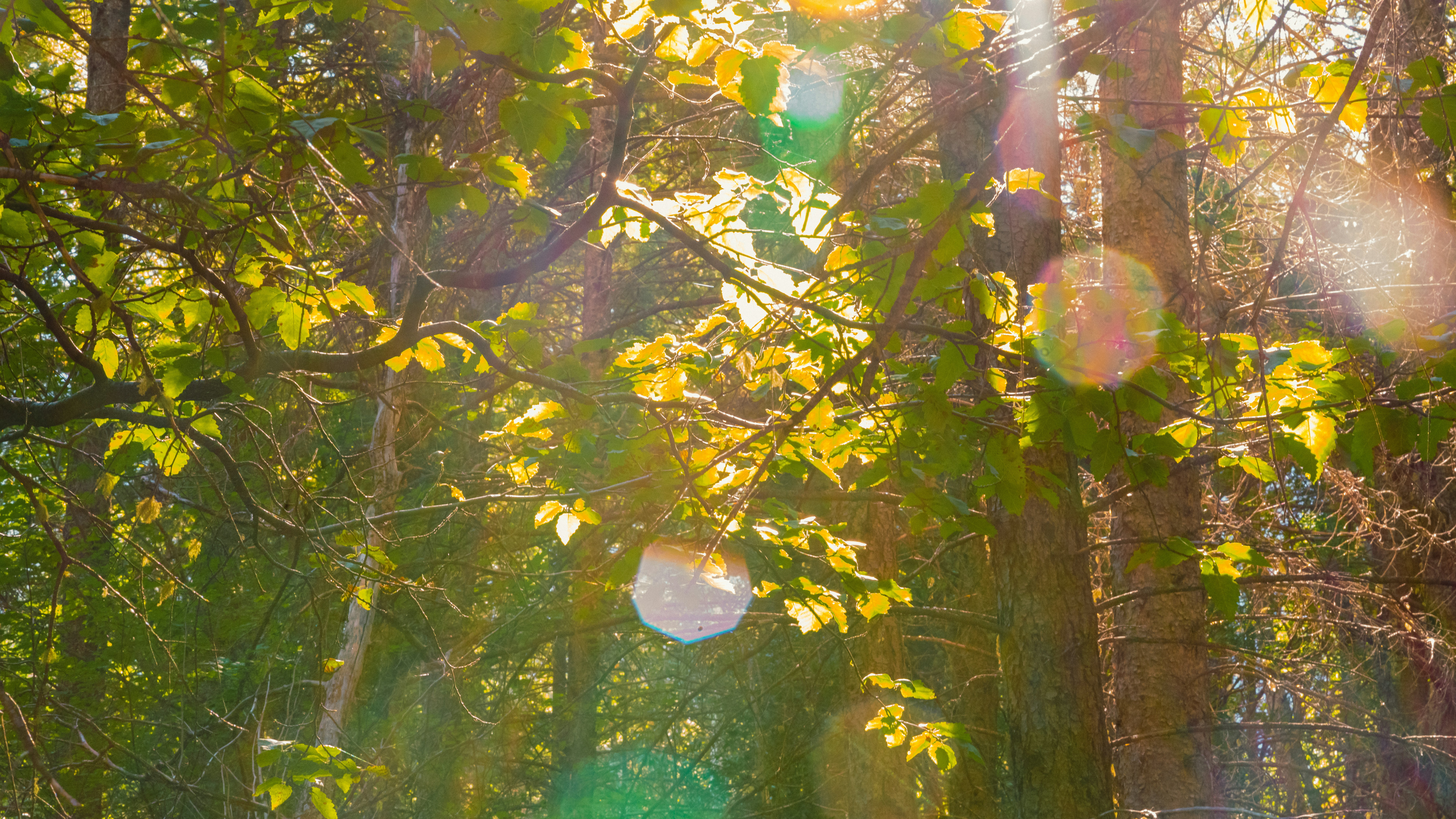 Photo by tomfooleryphoto