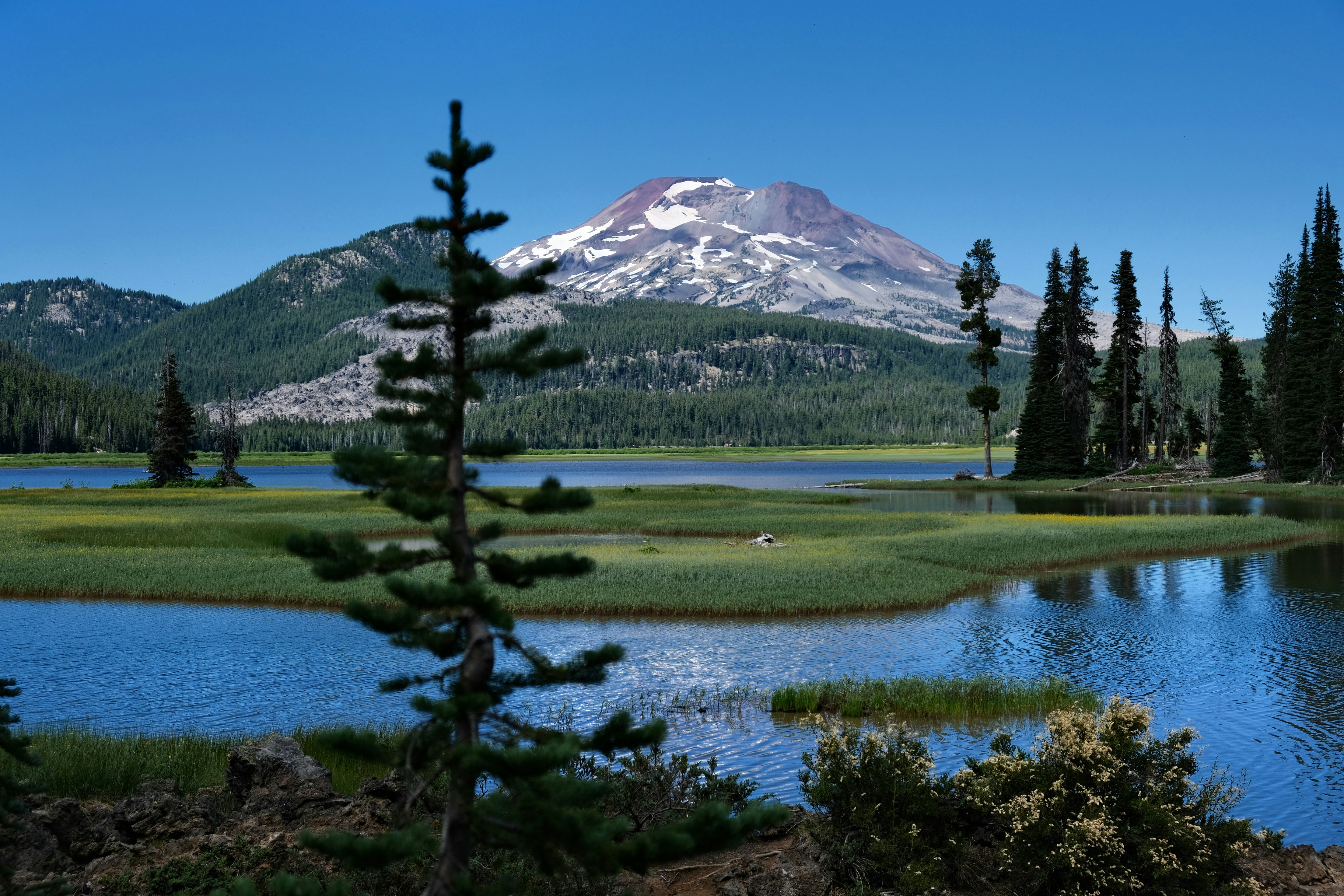 a lake with trees and a mountain in the background