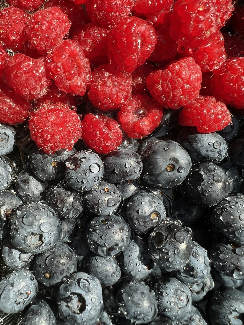 a pile of blackberries