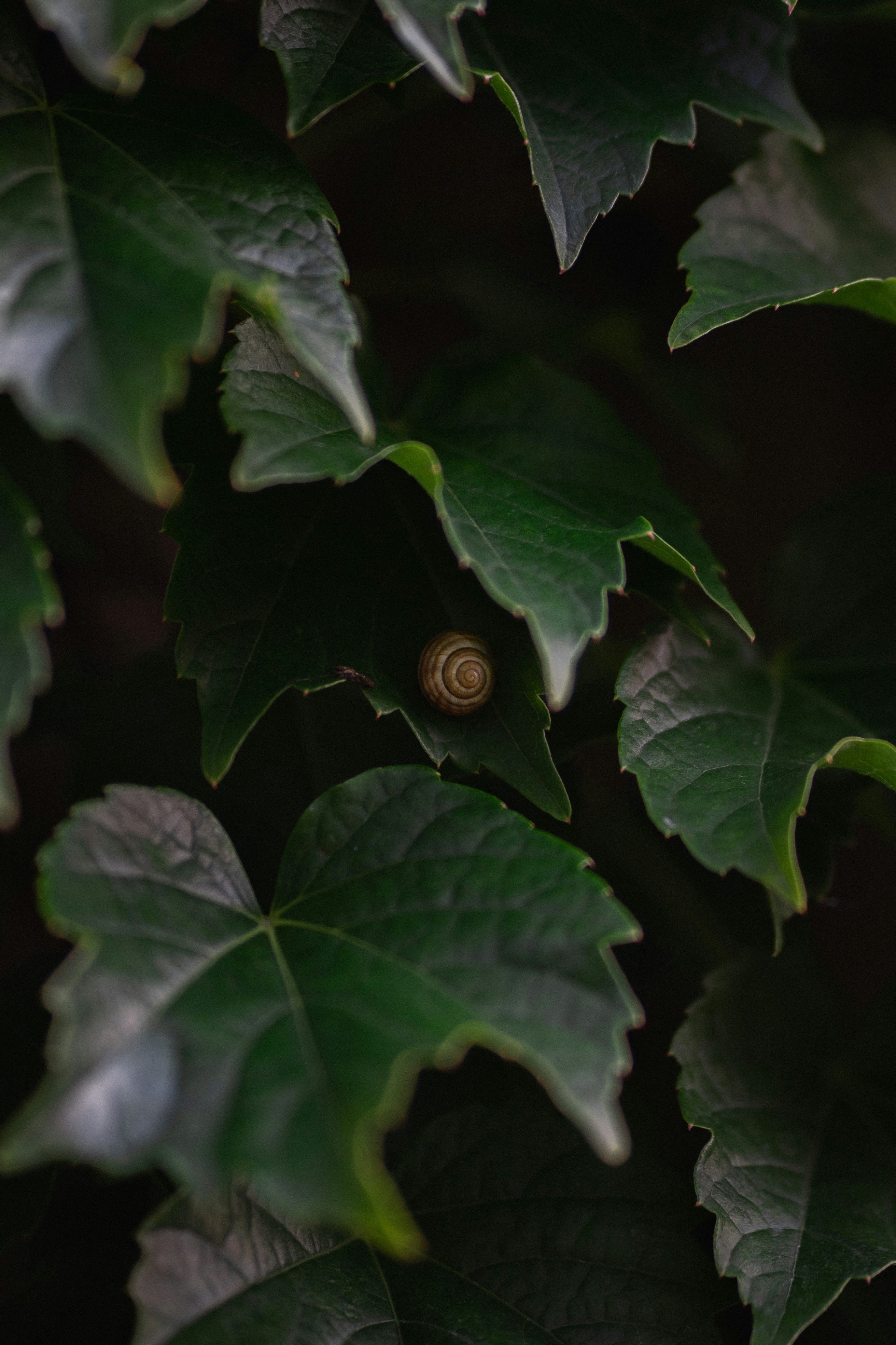 Photo by eugenechystiakov