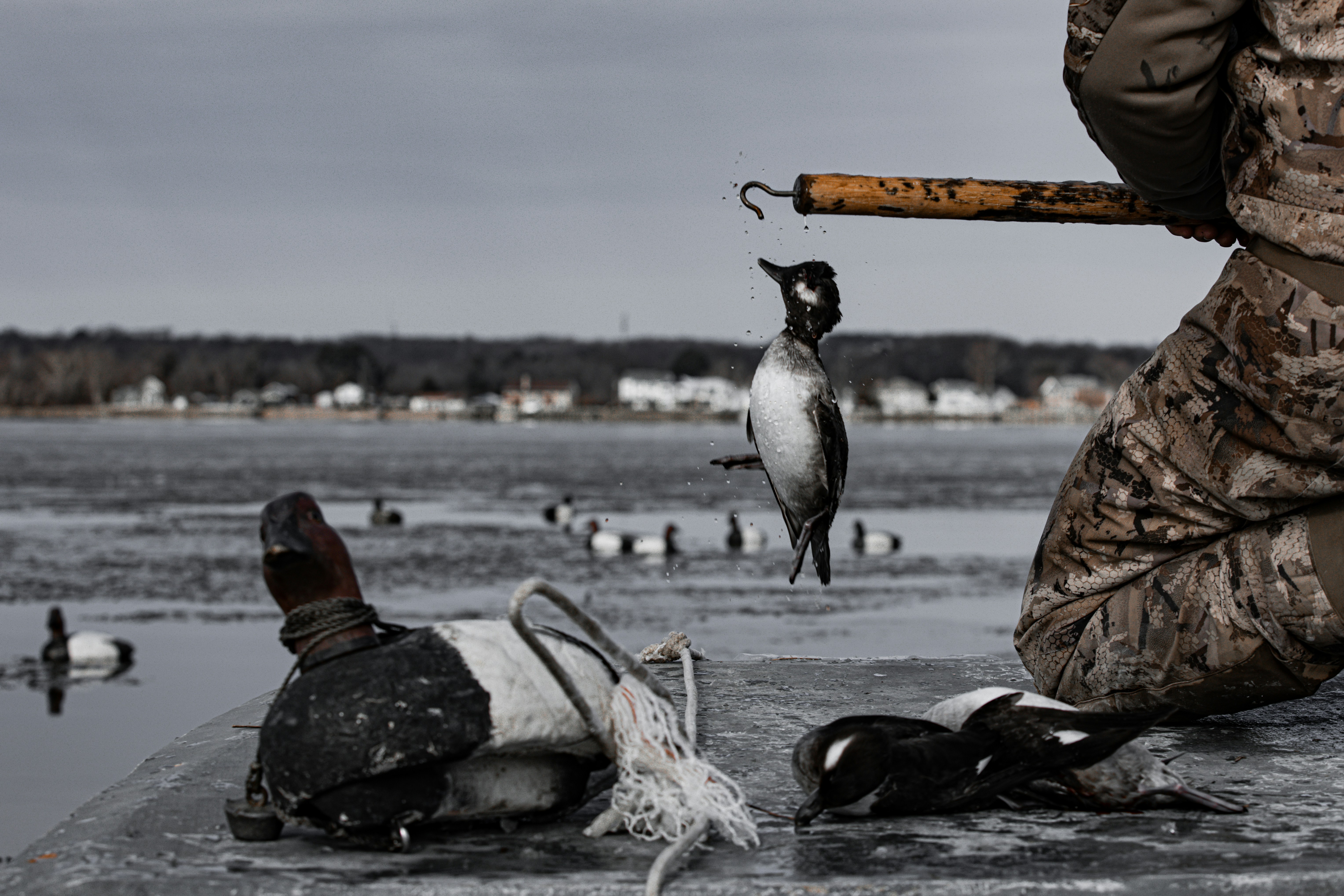 eine Person mit einer Waffe und einem Vogel an einem Strand