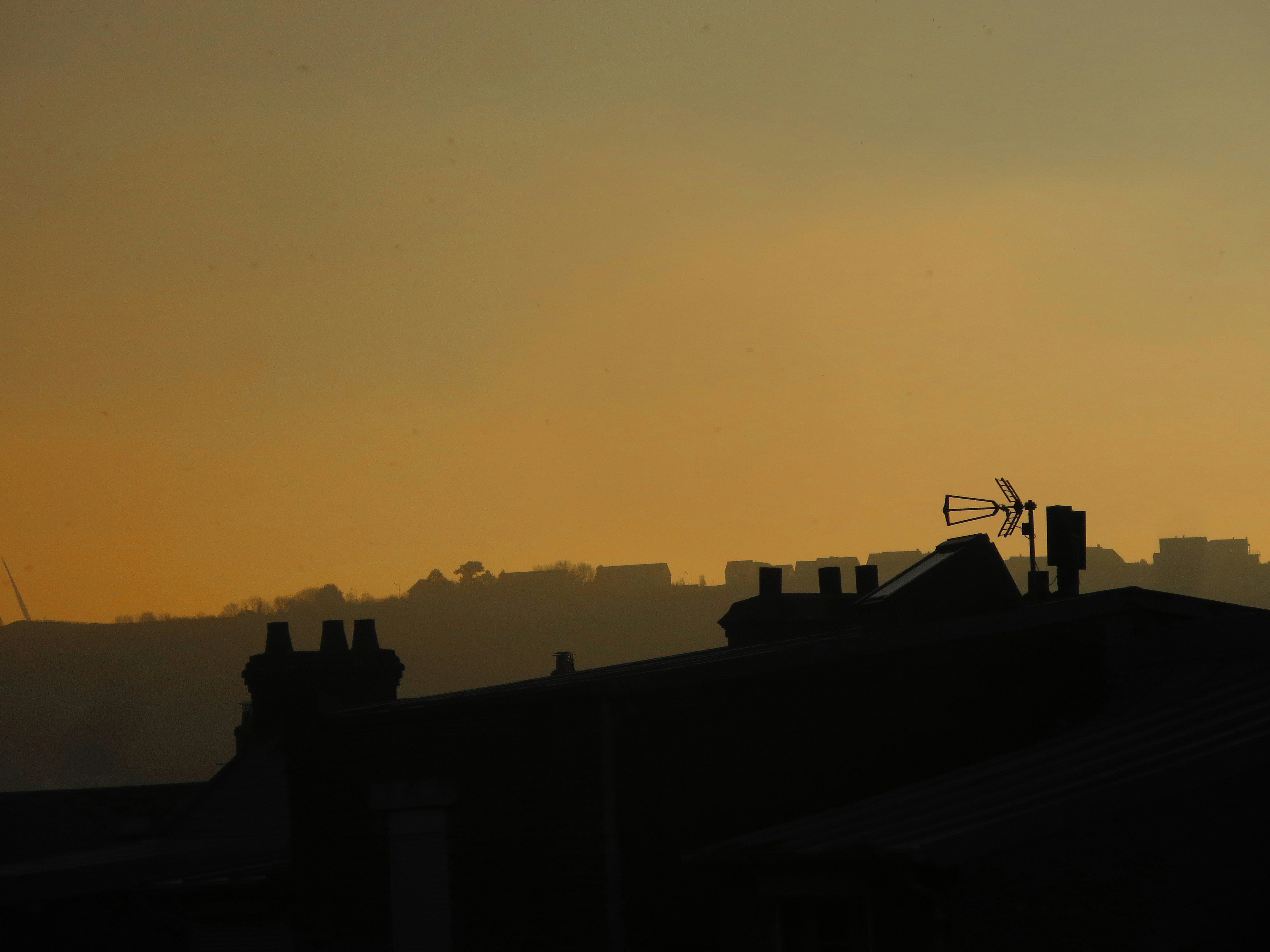 Photo by mohammadhu1