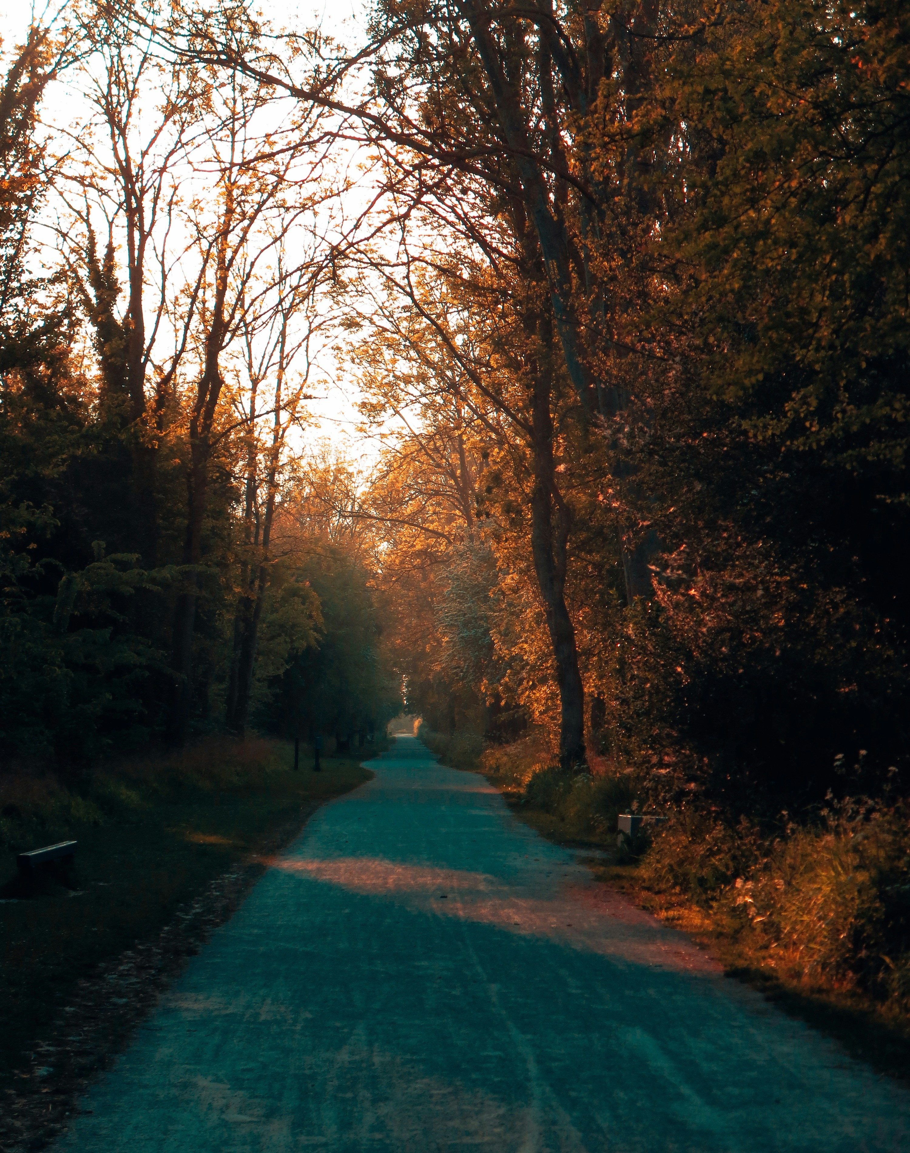 Photo by mohammadhu1