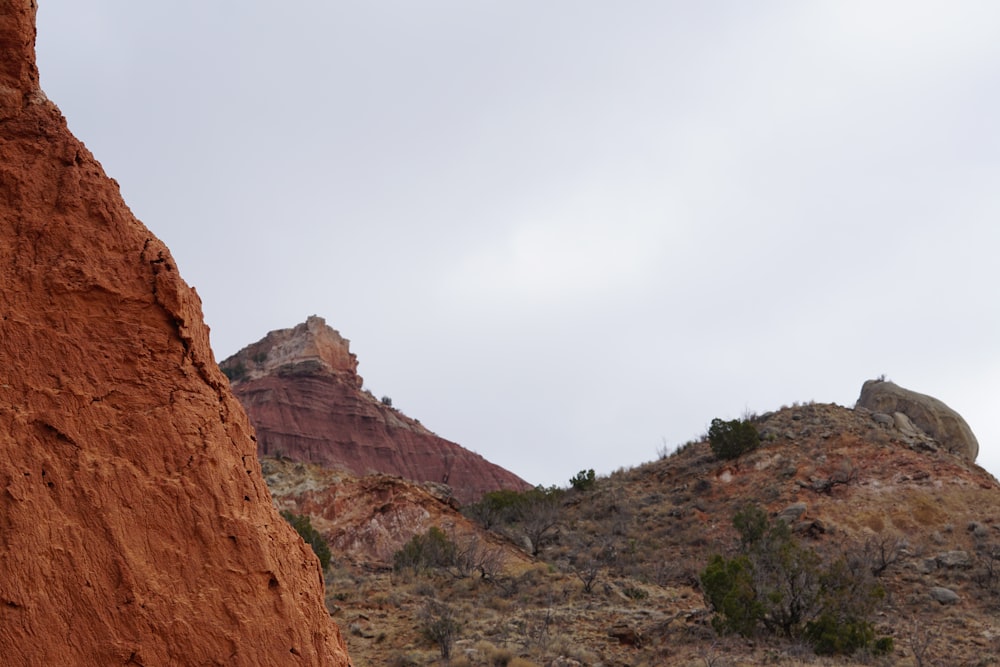 a rocky canyon with trees