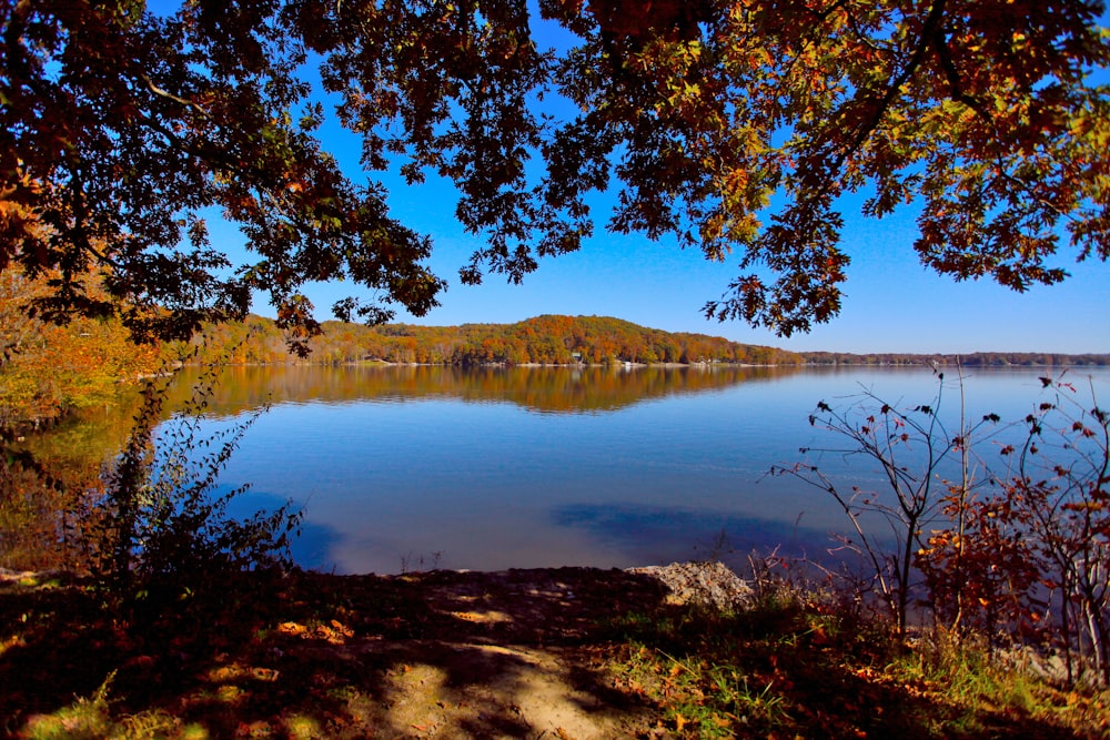 a lake surrounded by trees