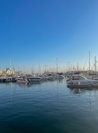 A panoramic view of the marina filled with boats under a clear blue sky.