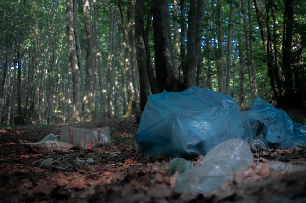 a blue tarp in the woods