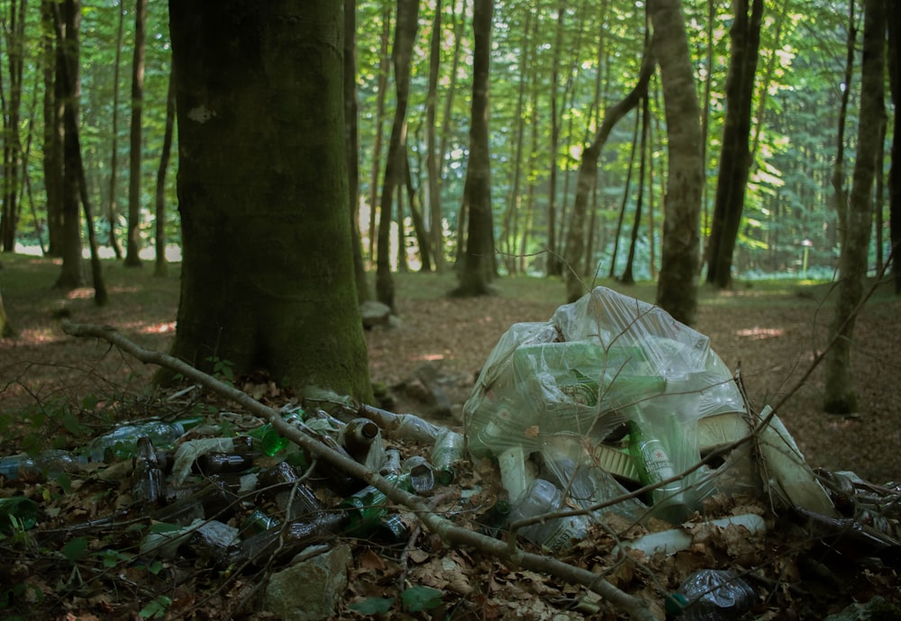 a plastic bag in the woods
