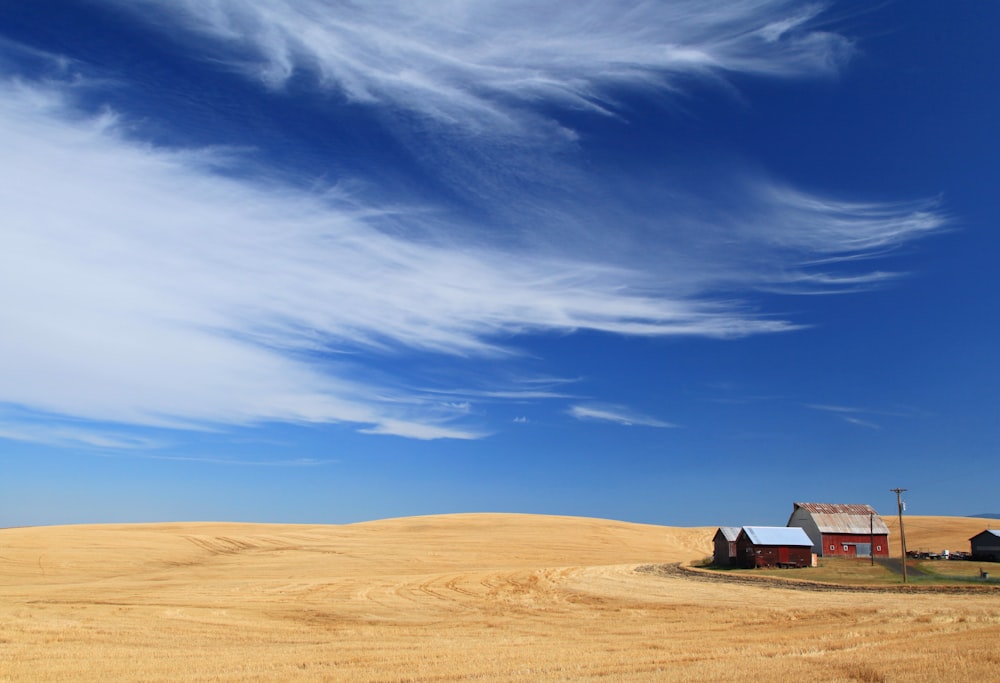 a dirt field with buildings in the distance