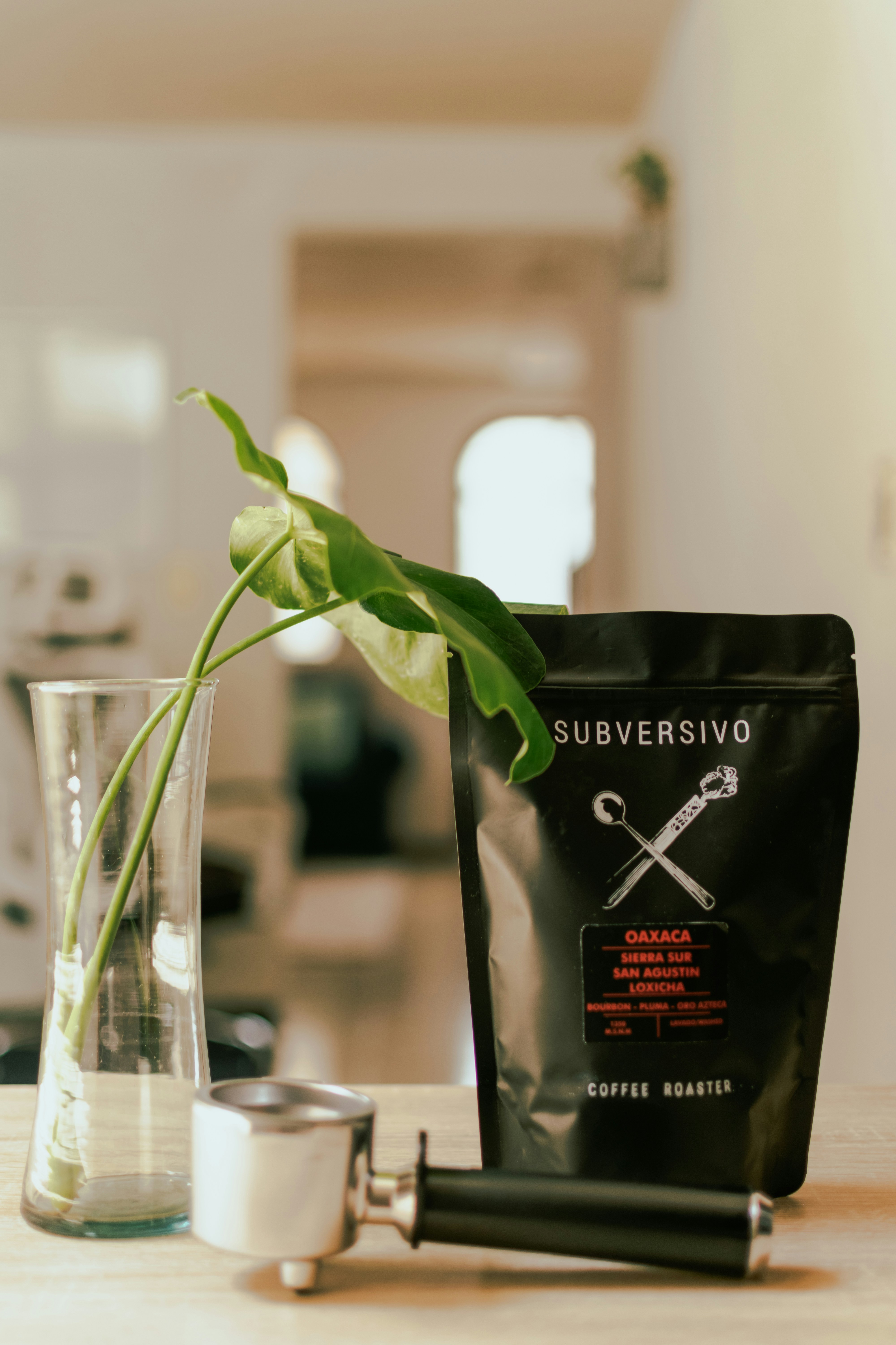 a plant in a glass vase