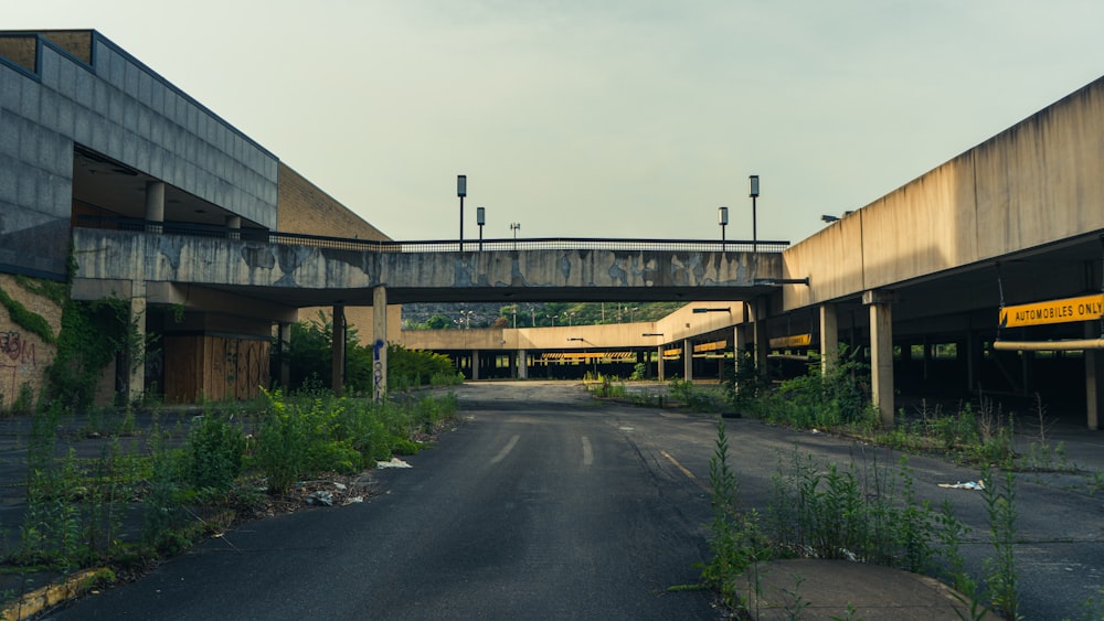 a road with a bridge over it