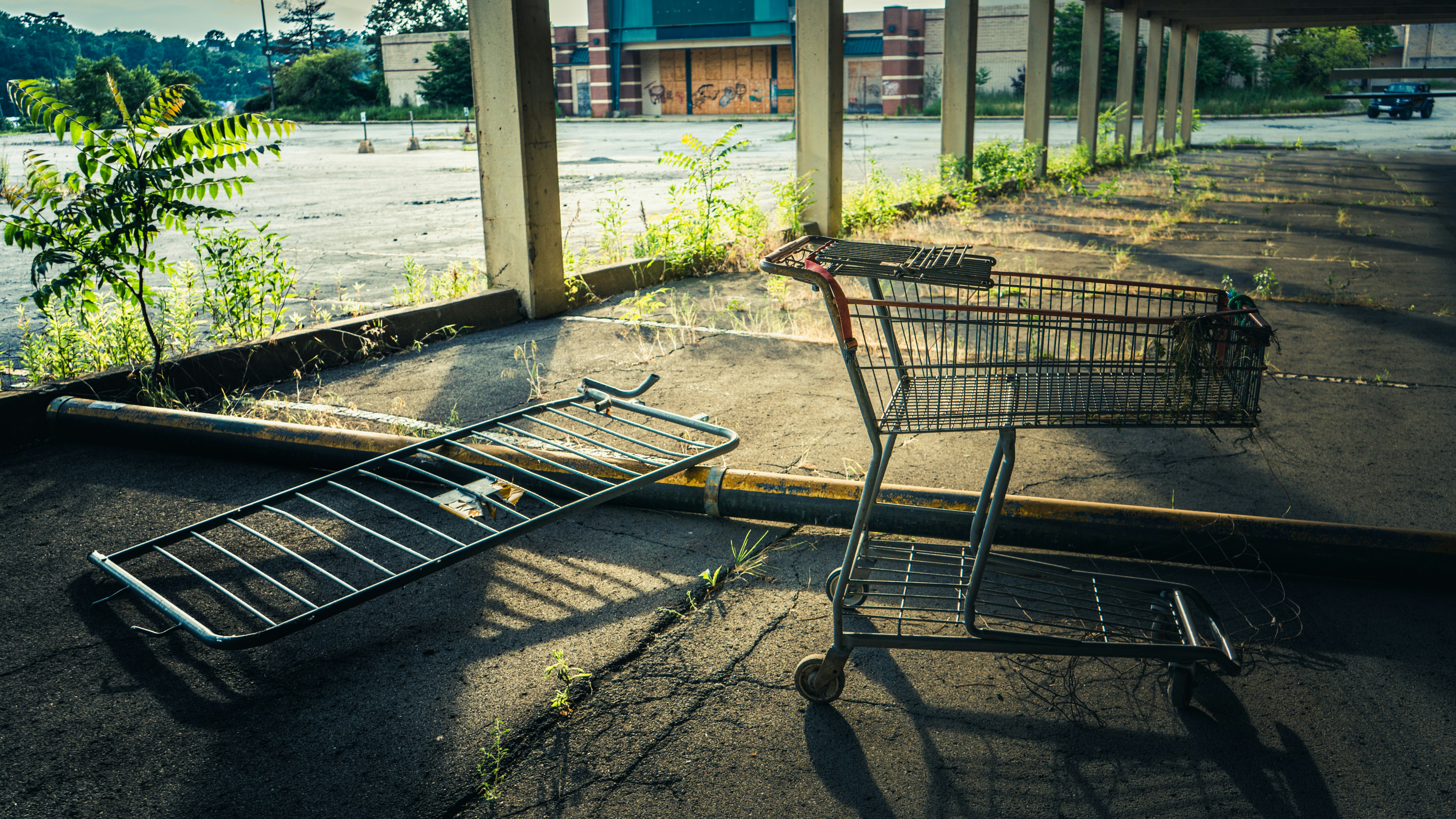 Photo by raymondkotewicz