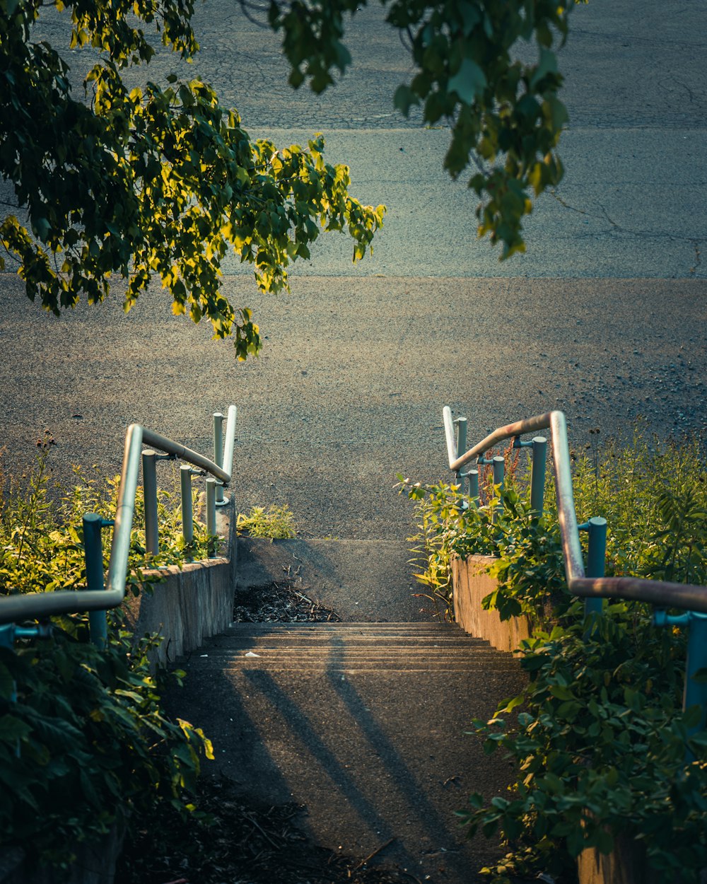 a small playground with trees