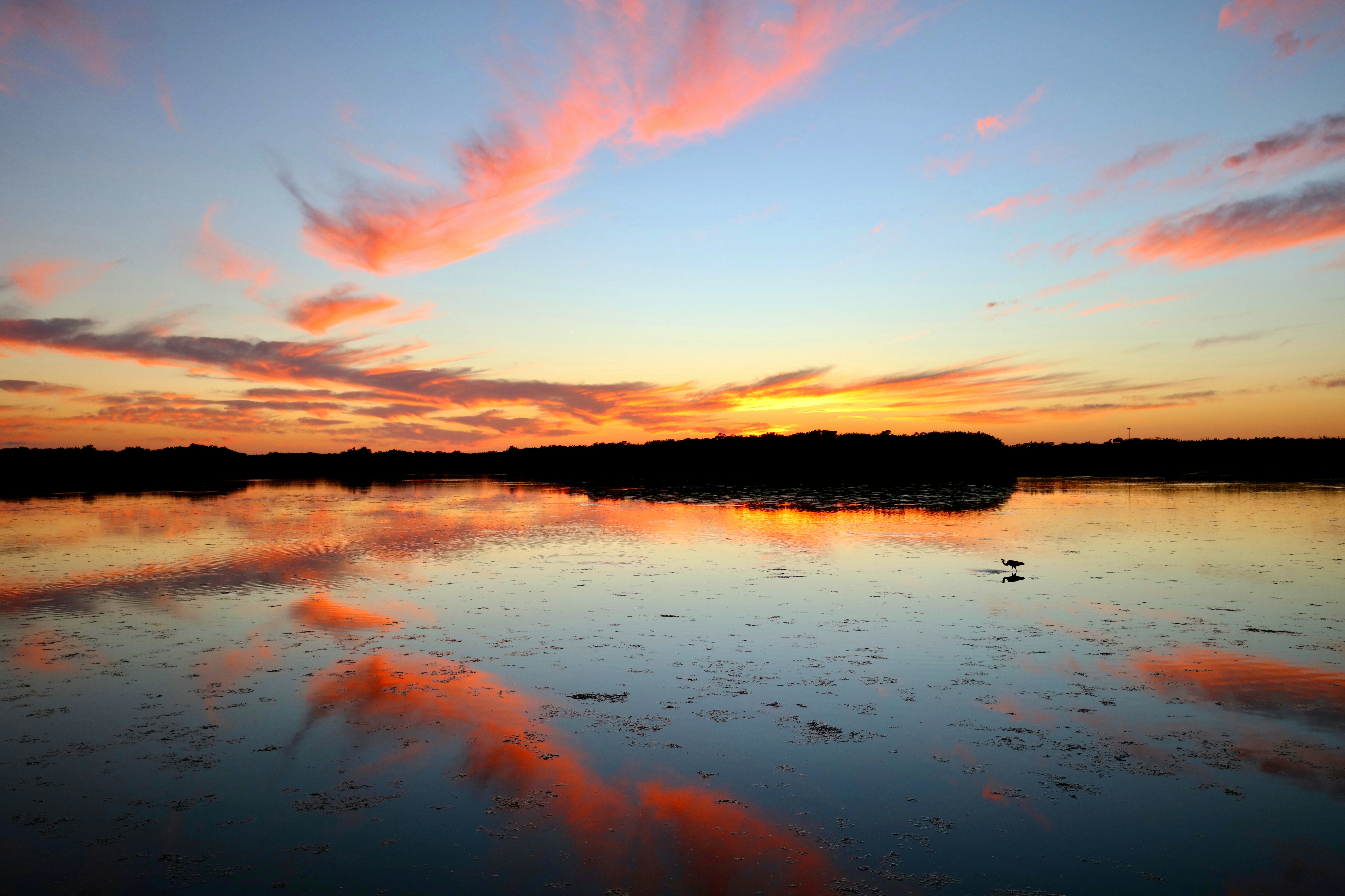 Photo by goldenplover31