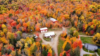 a building surrounded by trees