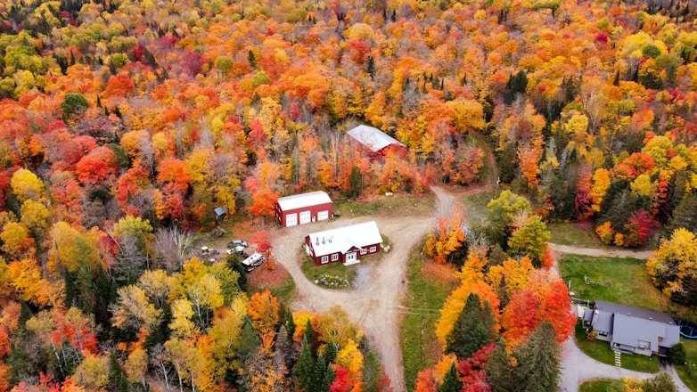 a building surrounded by trees