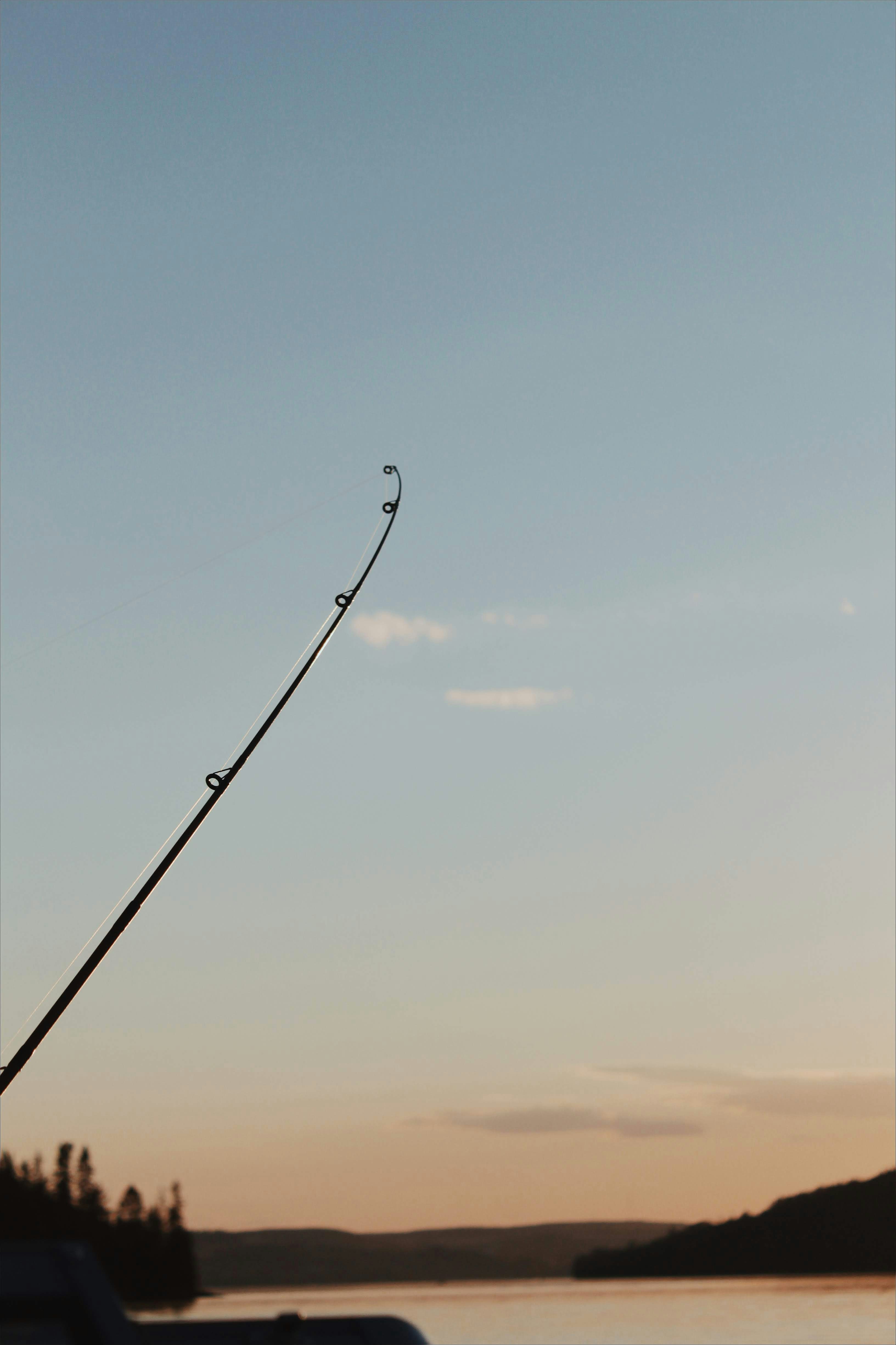 Varas imardotrea Pro