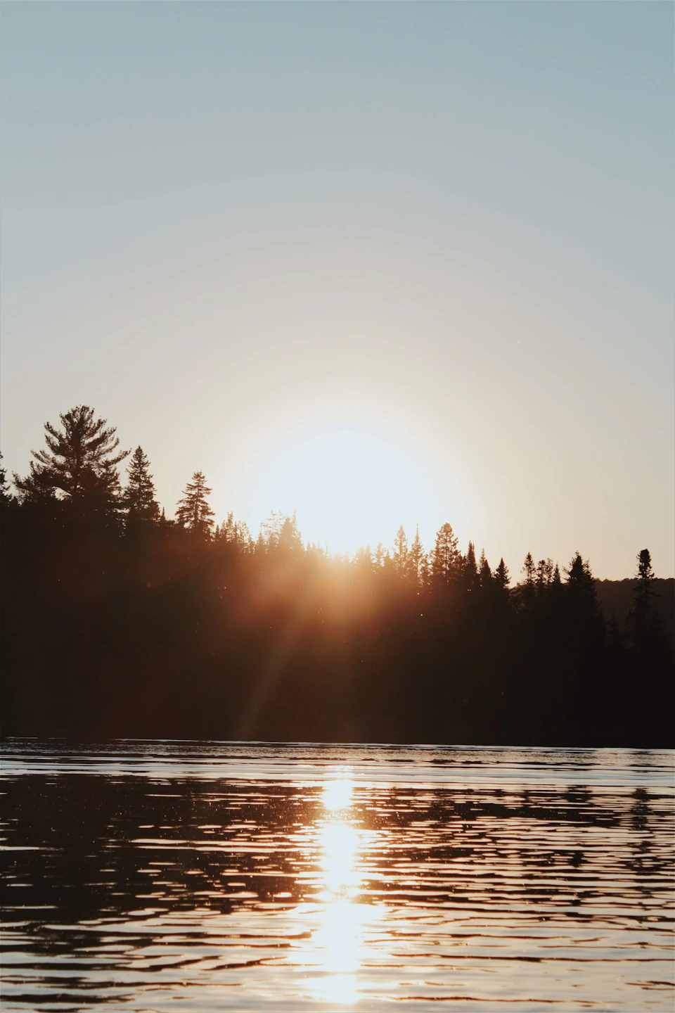 Sunset over calm water with warm glow casting long shadows and reflected light